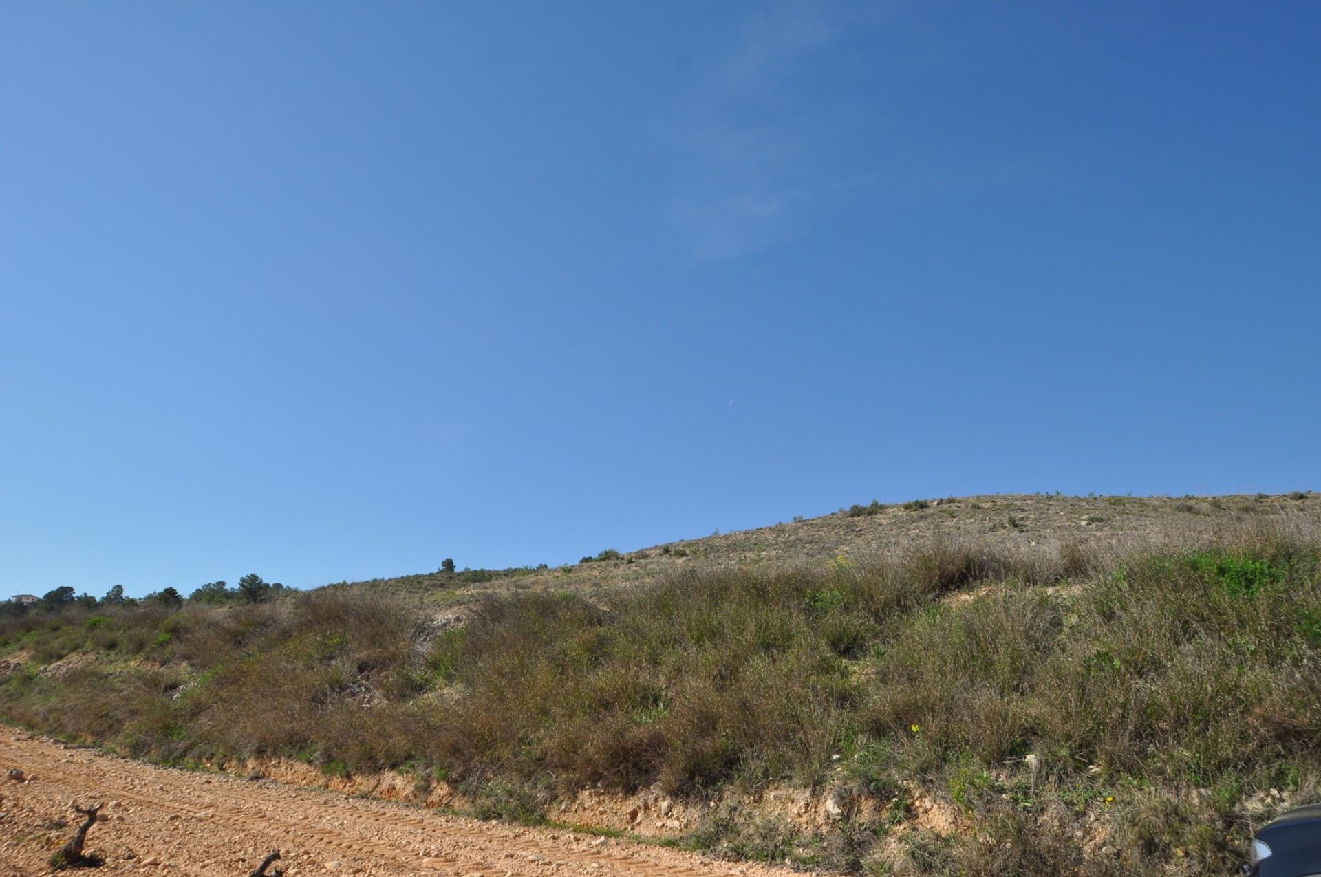 土地 在 La Zarza, Región de Murcia 10725492