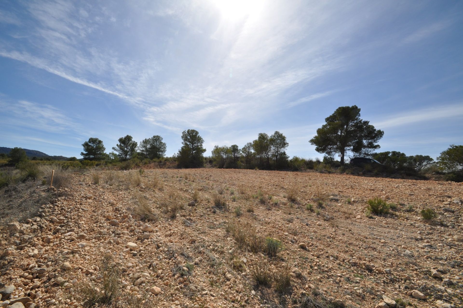 Tanah dalam La Zarza, Región de Murcia 10725494