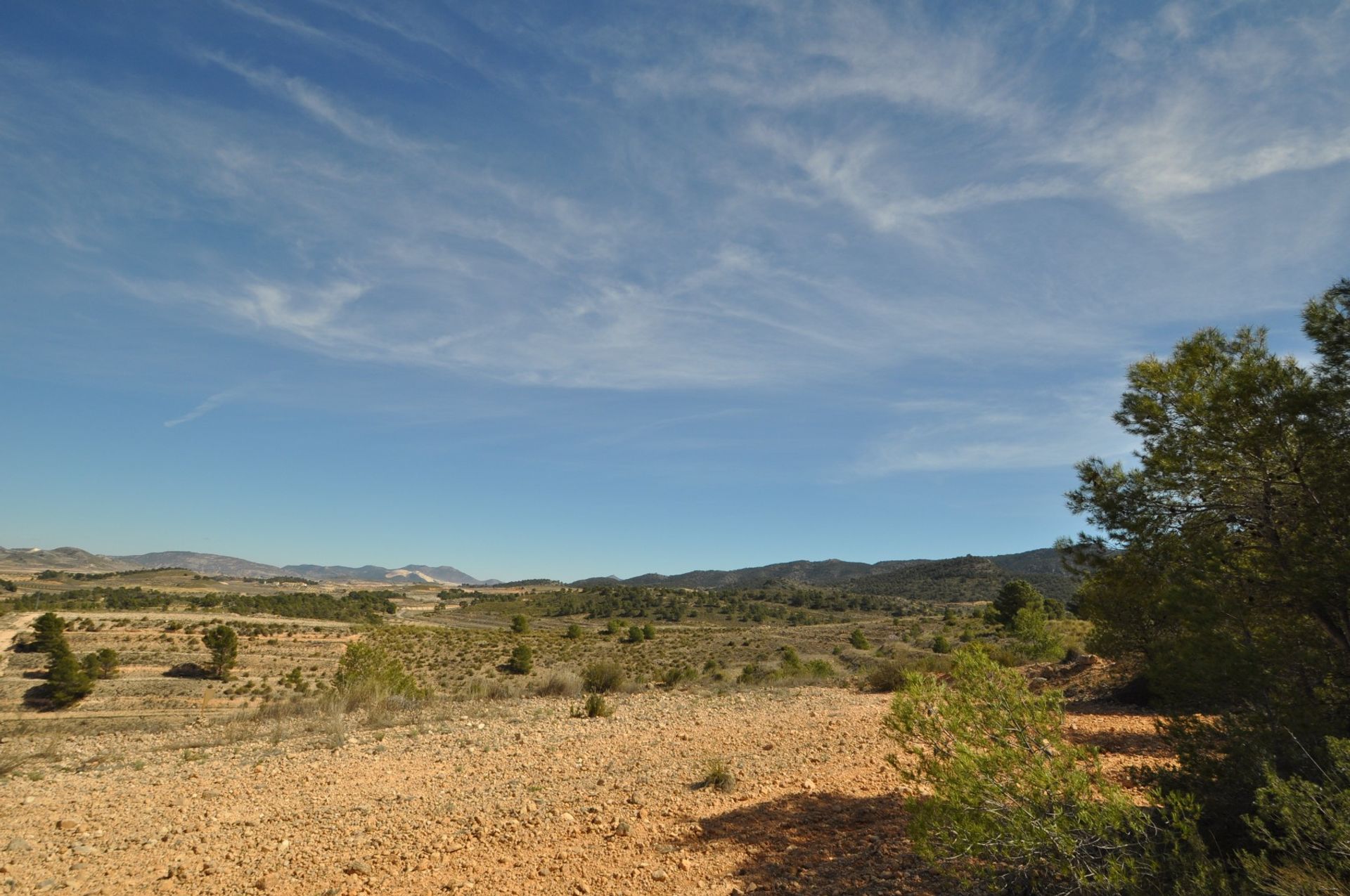 Tanah di Pinoso, Valencia 10725494