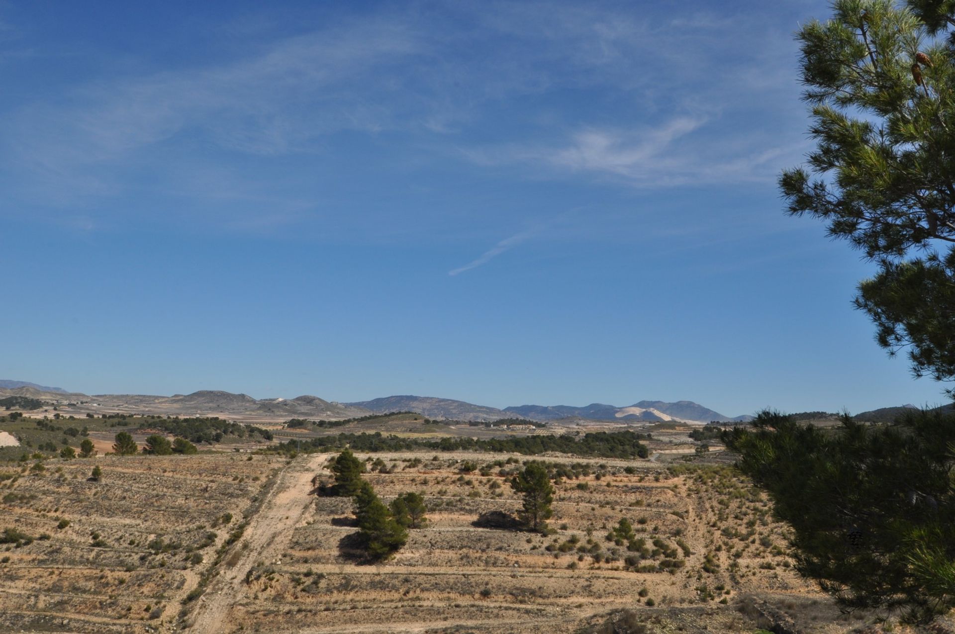 Tanah dalam La Zarza, Región de Murcia 10725494