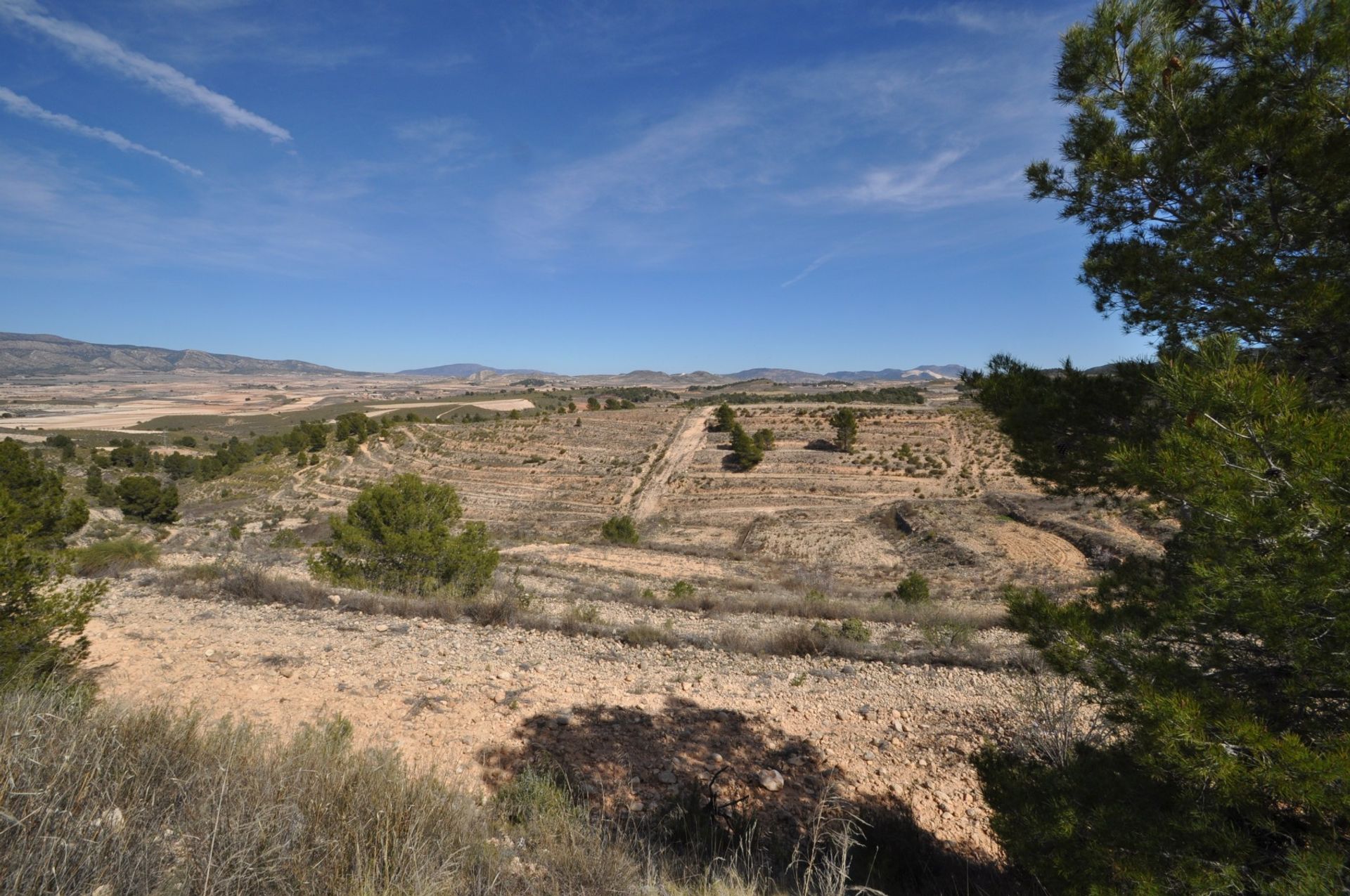 Tanah dalam La Zarza, Región de Murcia 10725494