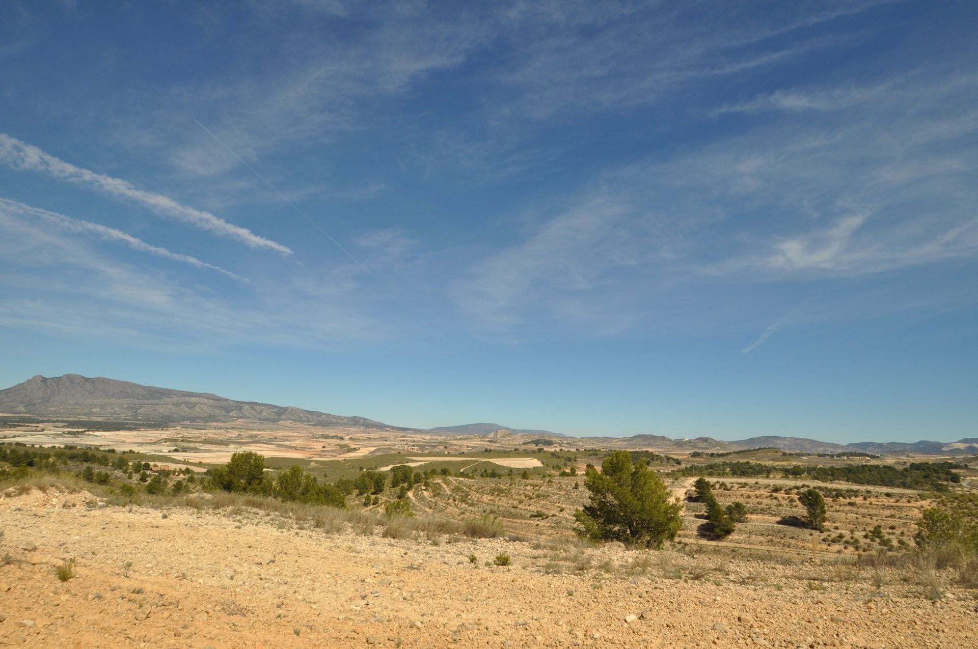 Tanah di Pinoso, Valencia 10725494