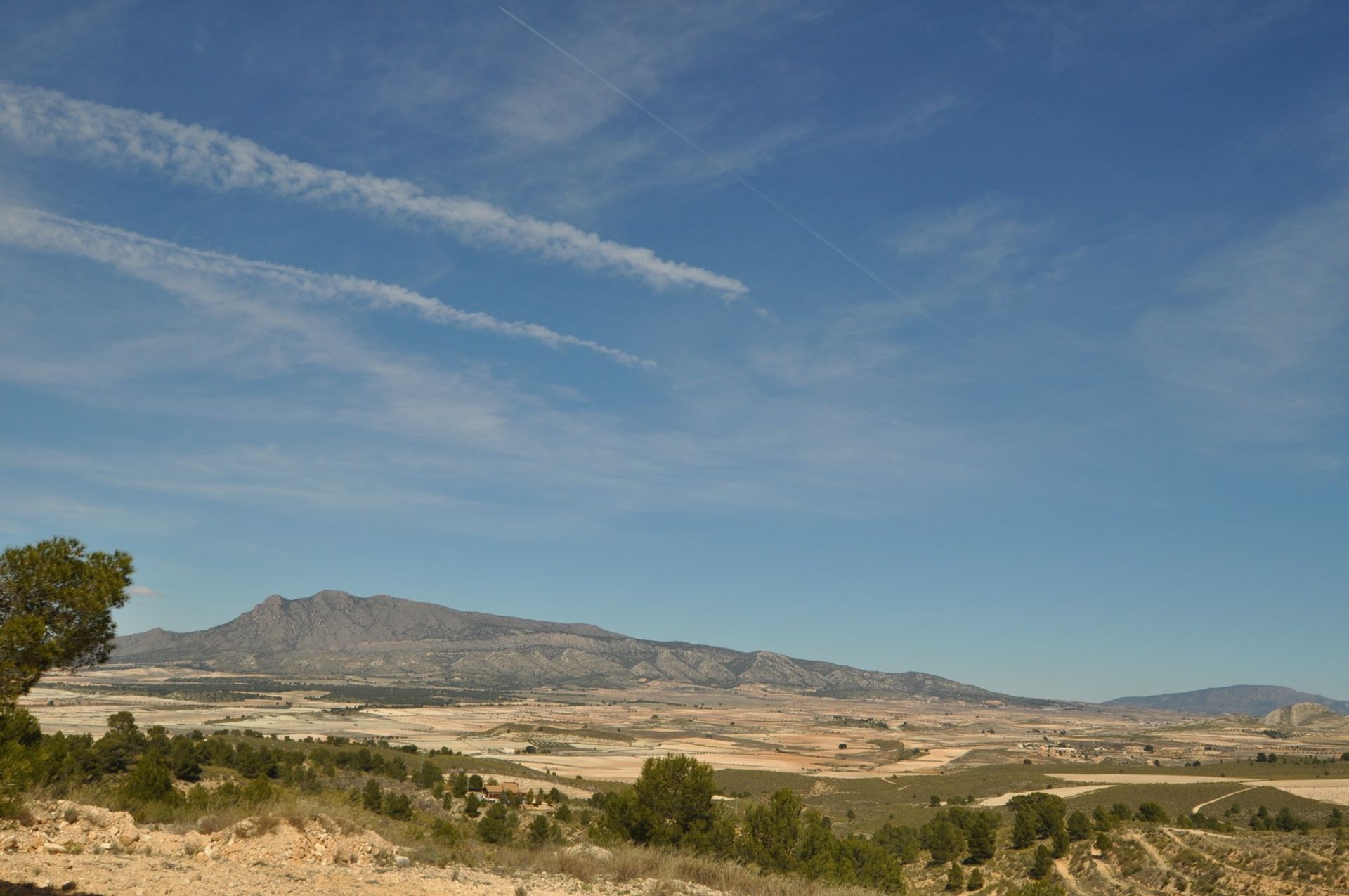 Tanah di Pinoso, Valencia 10725494