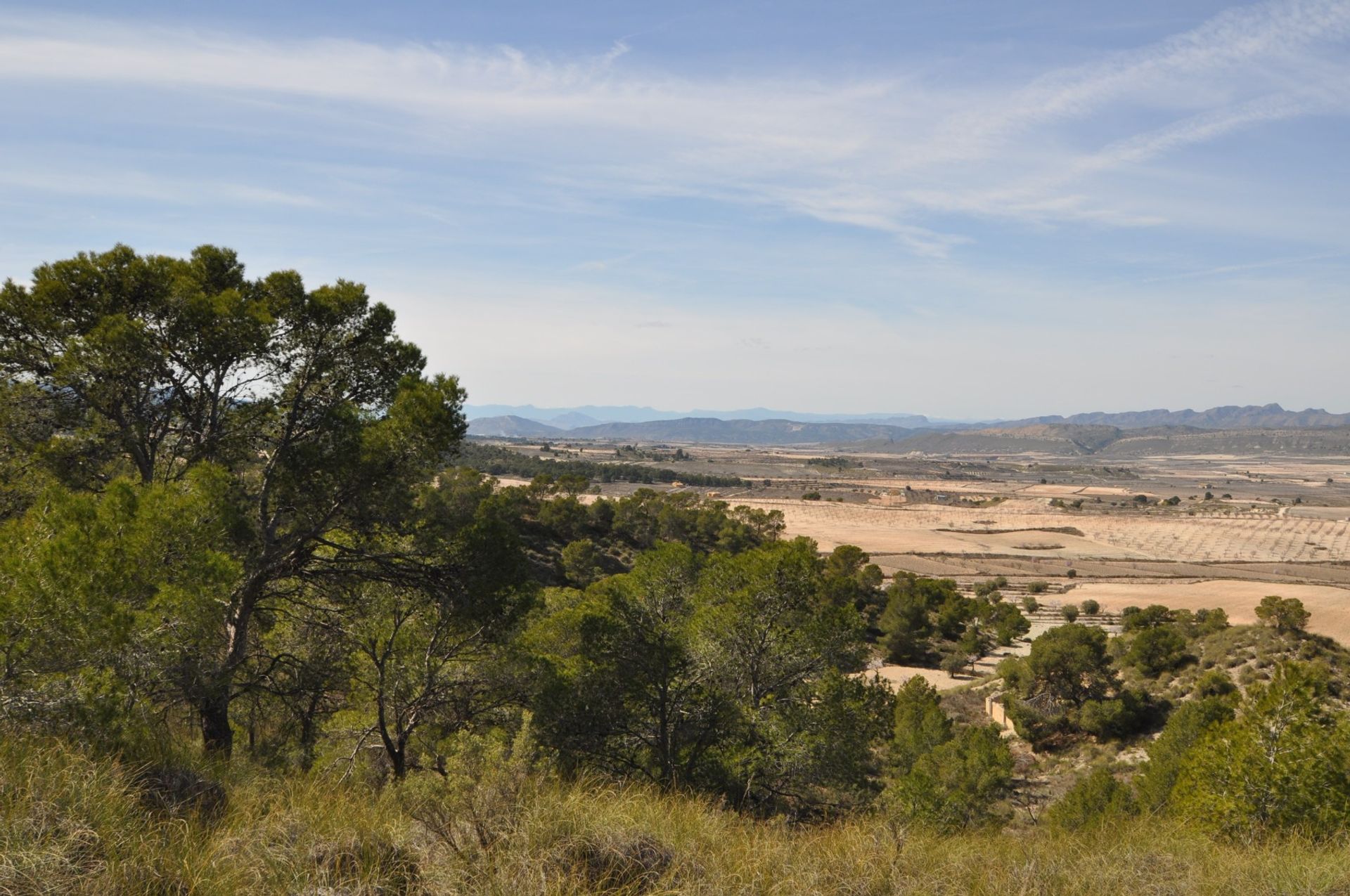 Tanah di Pinoso, Valencia 10725494