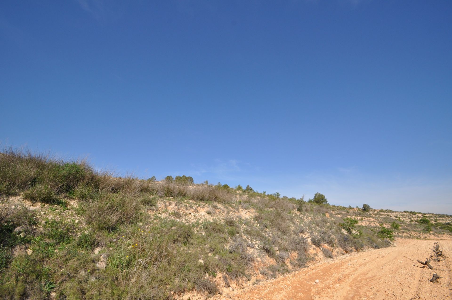 Terre dans La Zarza, Región de Murcia 10725495