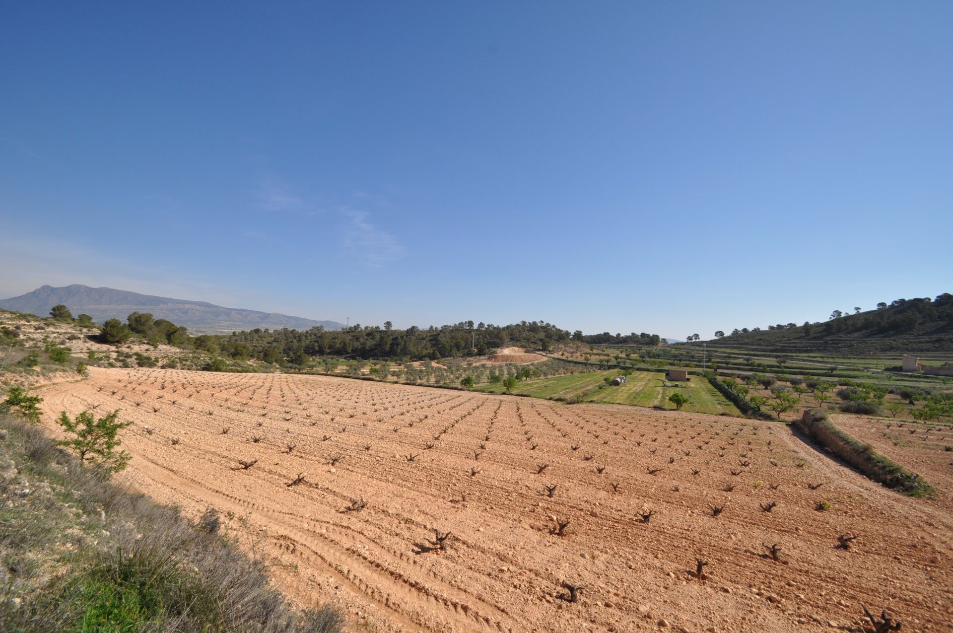 Jord i La Zarza, Región de Murcia 10725495