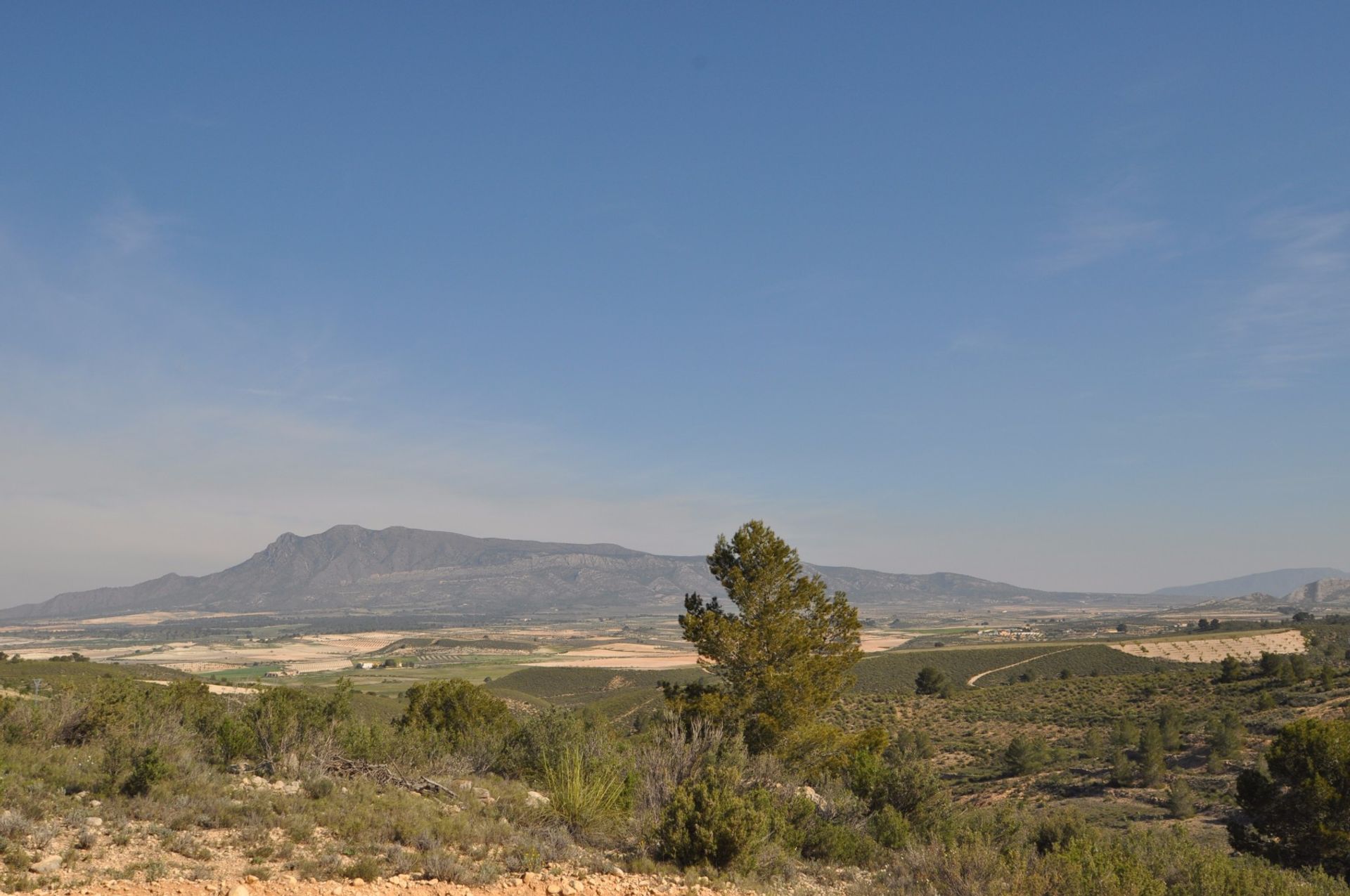 Land im La Zarza, Región de Murcia 10725496