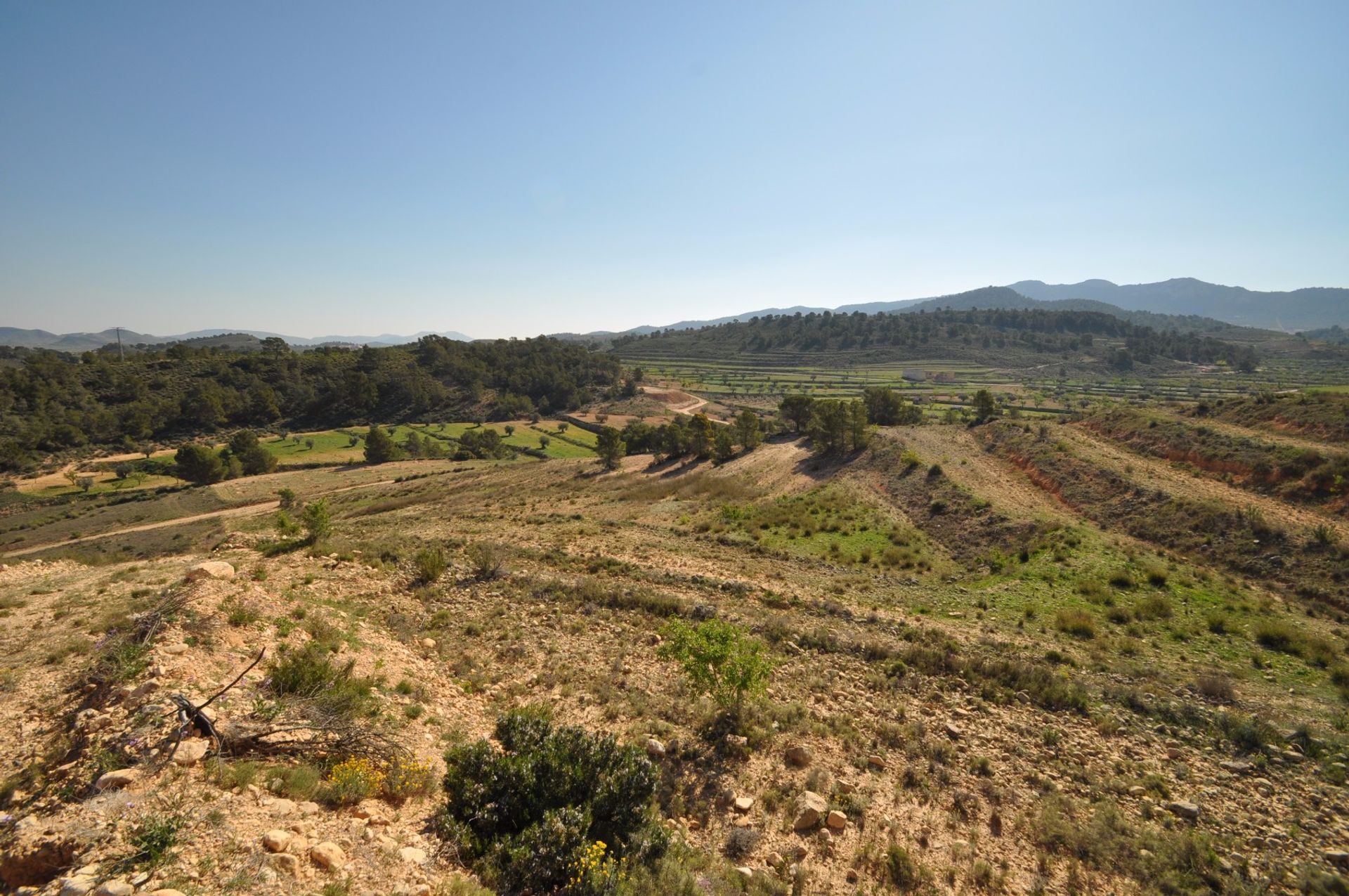 ארץ ב La Zarza, Región de Murcia 10725496