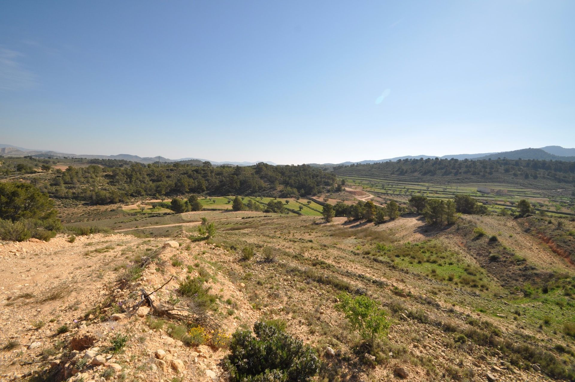 Land in Pinoso, Valencia 10725496