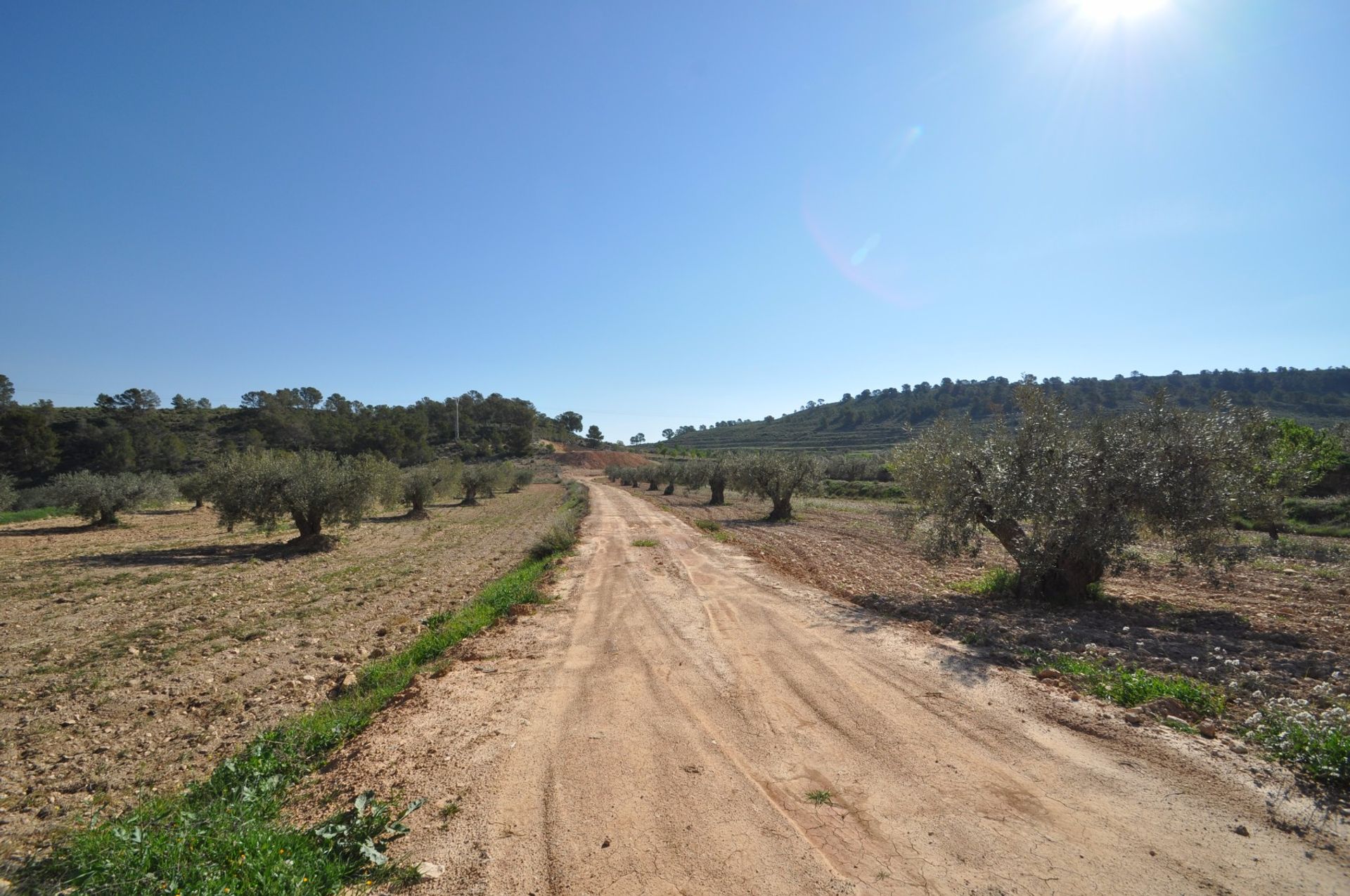 Terra no Pinoso, Valência 10725497