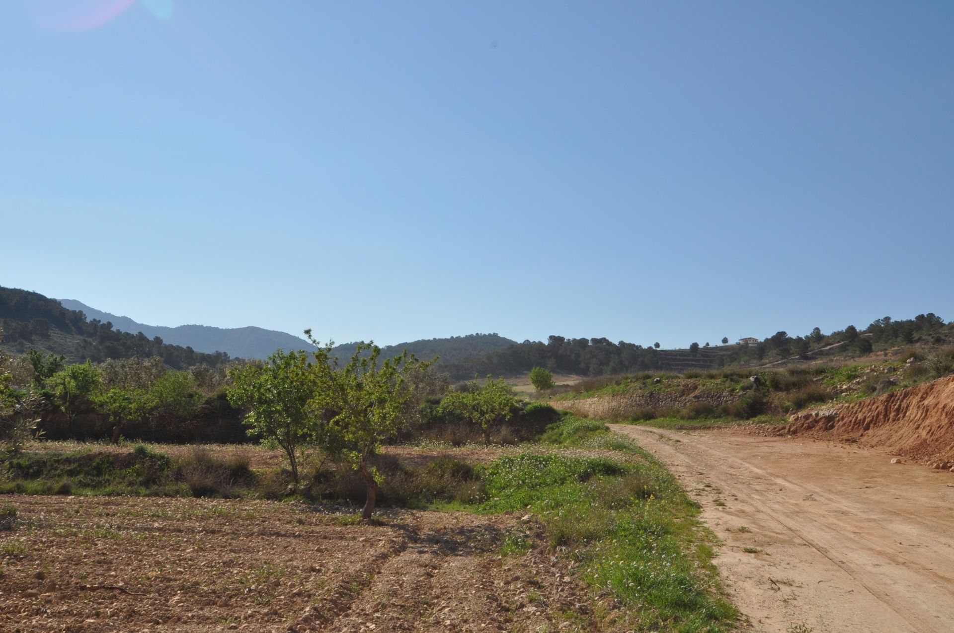 Terra no Pinoso, Valência 10725497