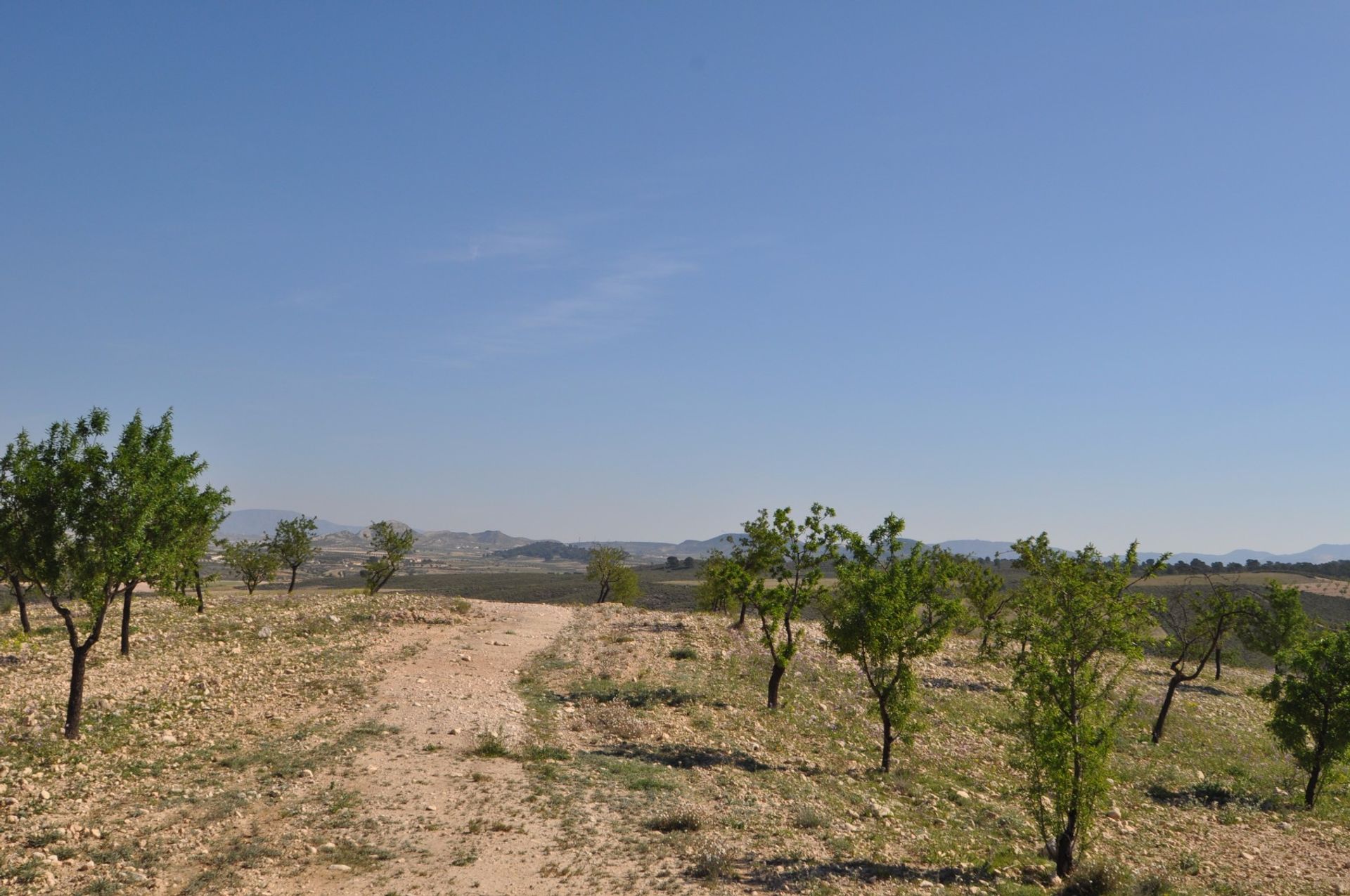 Tanah dalam La Zarza, Región de Murcia 10725498