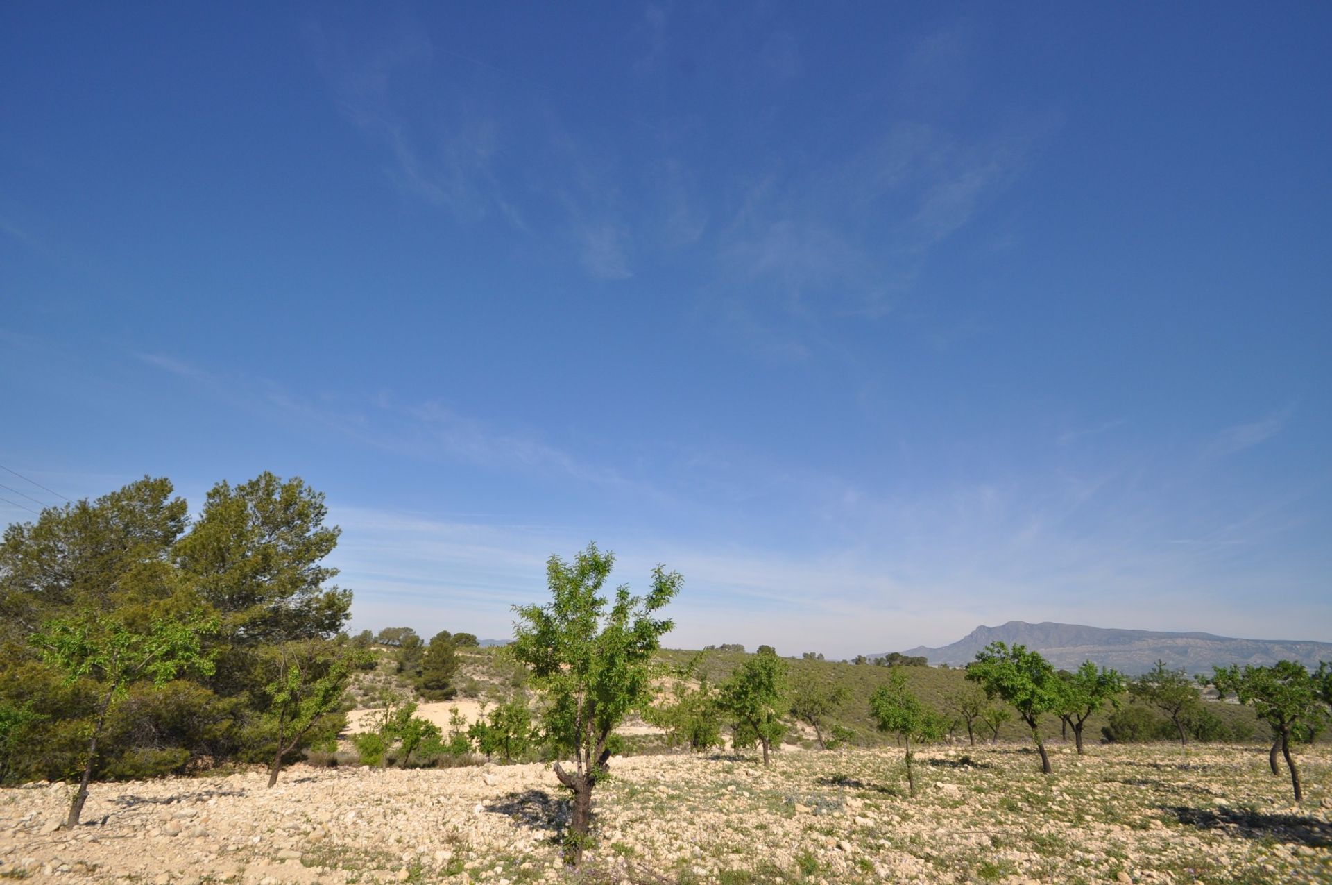 Land in La Zarza, Región de Murcia 10725498