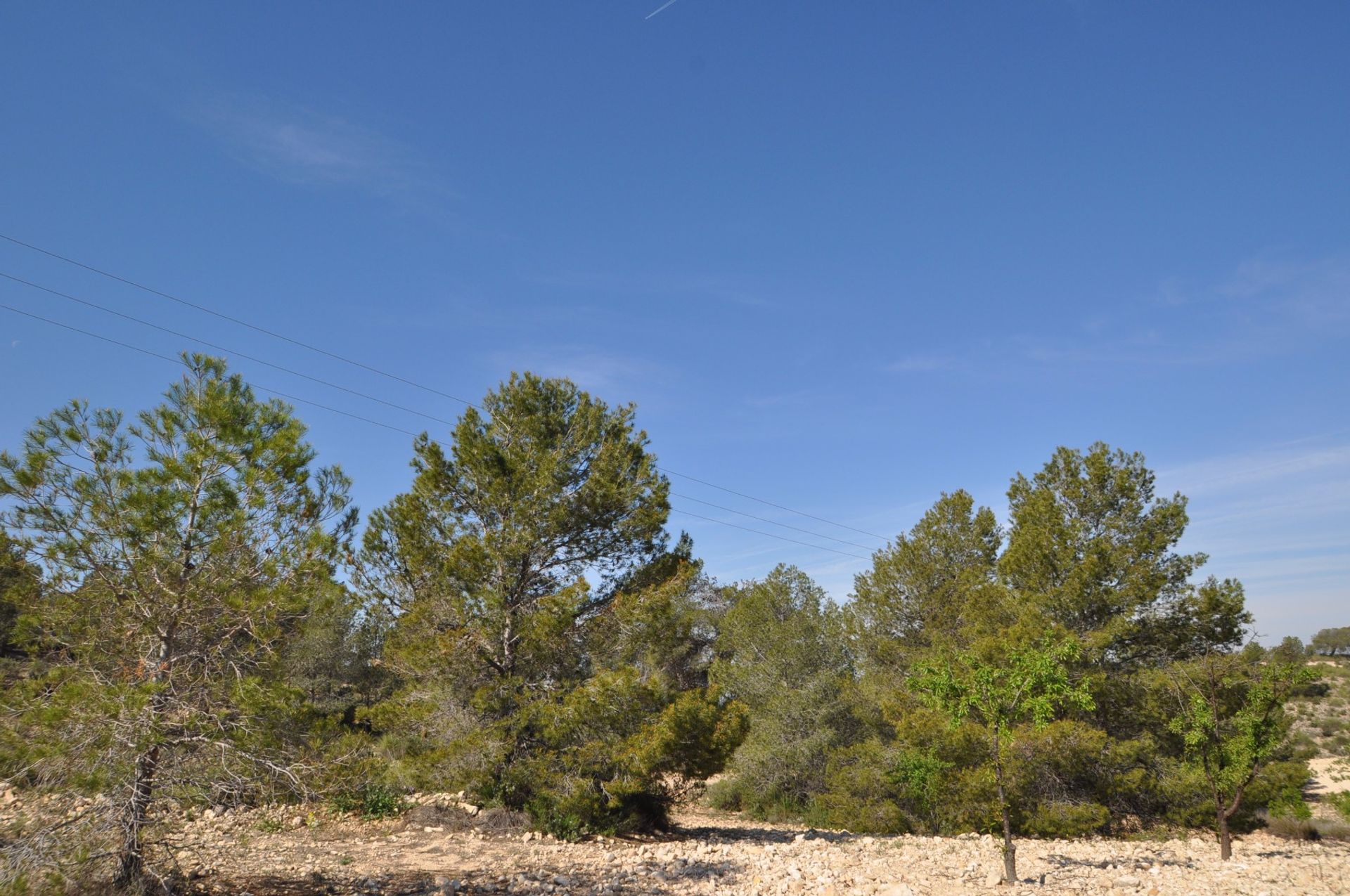 Land in La Zarza, Región de Murcia 10725498