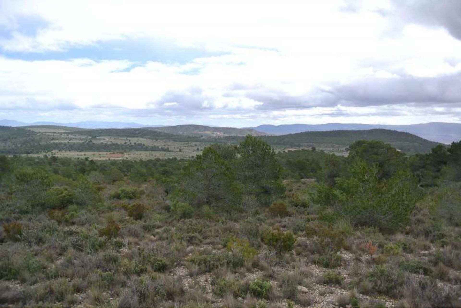 Tierra en Yecla, Región de Murcia 10725566