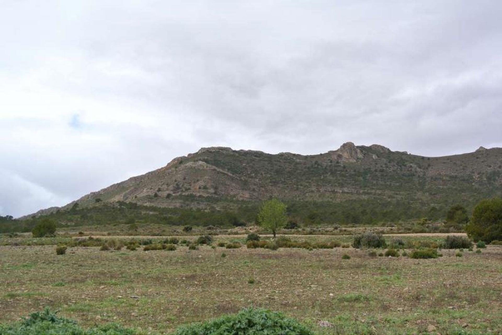 Земельные участки в Yecla, Región de Murcia 10725566