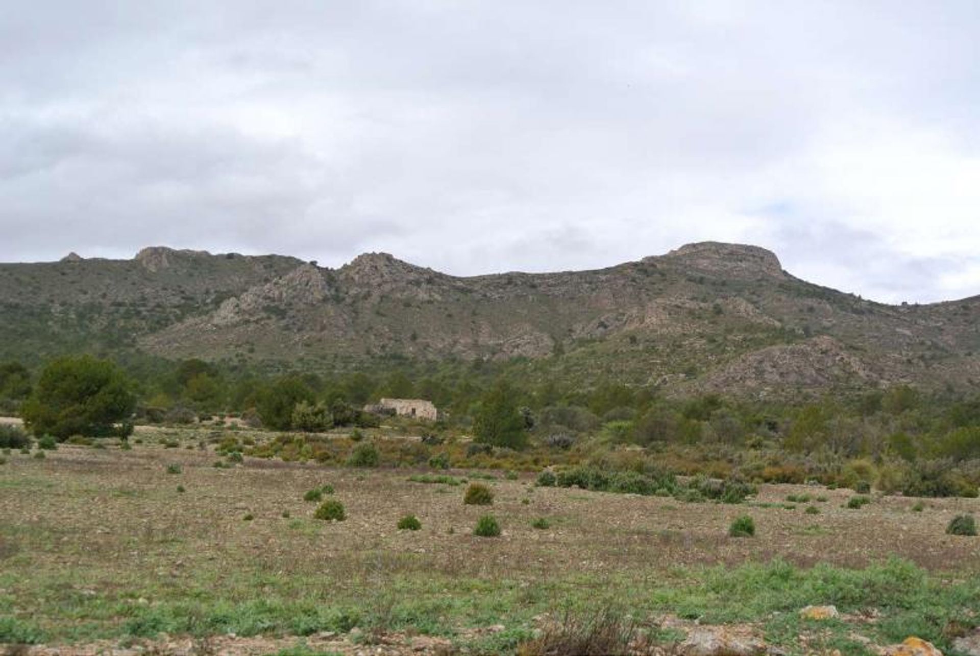 Tanah dalam Yecla, Región de Murcia 10725566