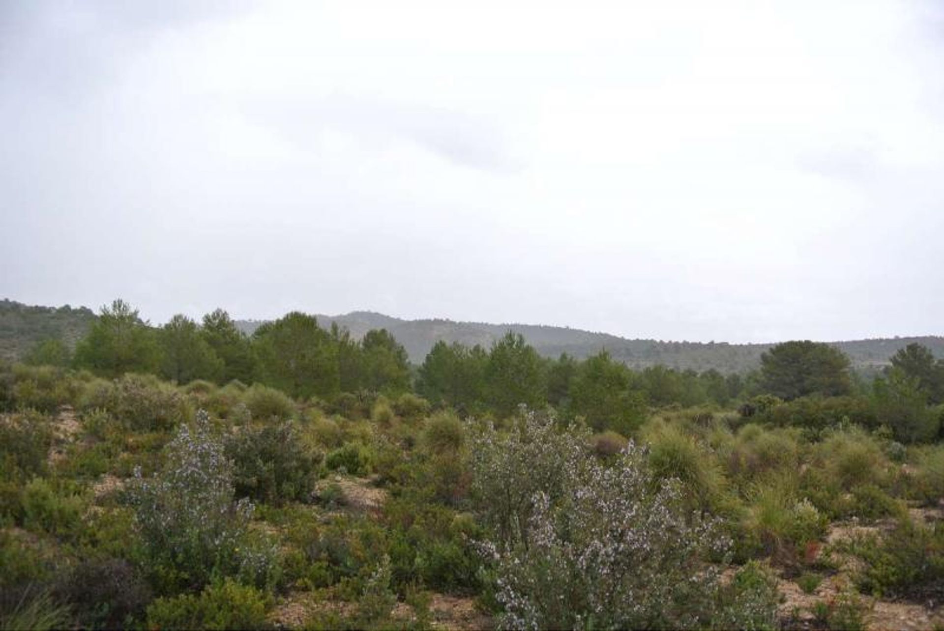 Land in Yecla, Región de Murcia 10725566