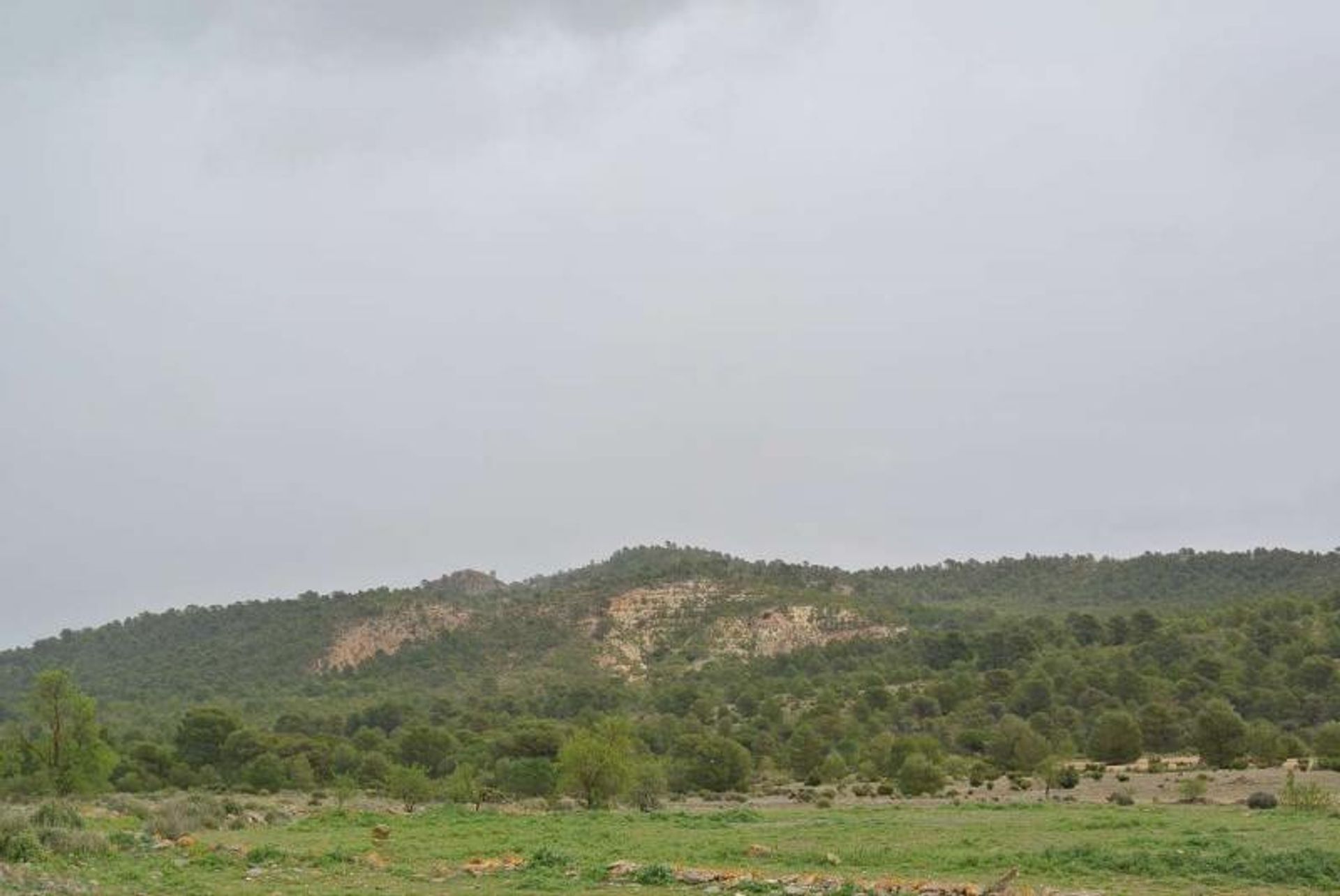 Tierra en Yecla, Región de Murcia 10725566