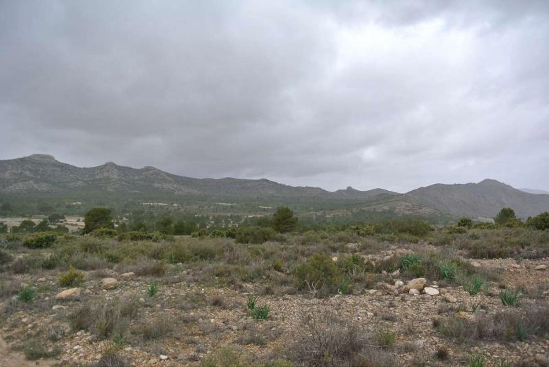 Terre dans Yecla, Región de Murcia 10725566