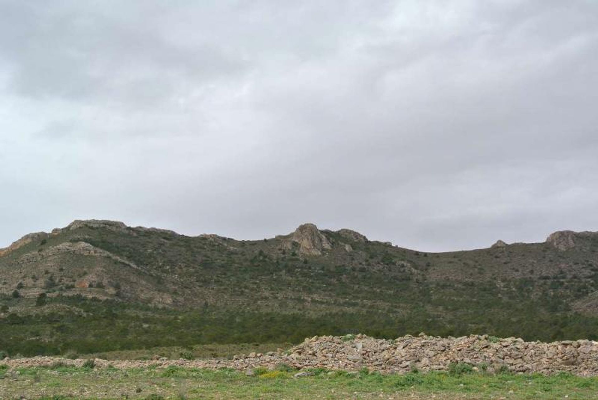 Tierra en Yecla, Región de Murcia 10725566