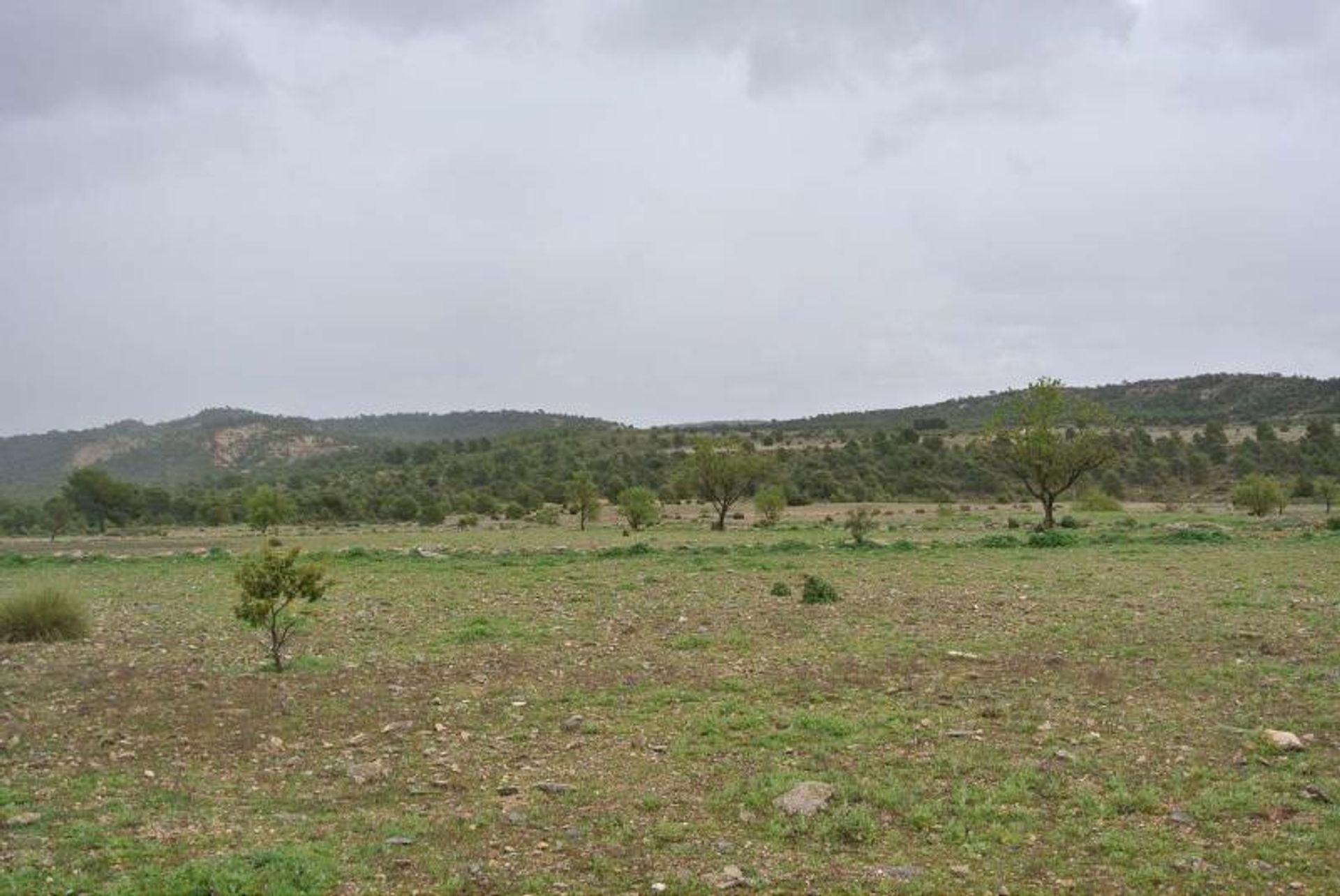 Tierra en Yecla, Región de Murcia 10725566