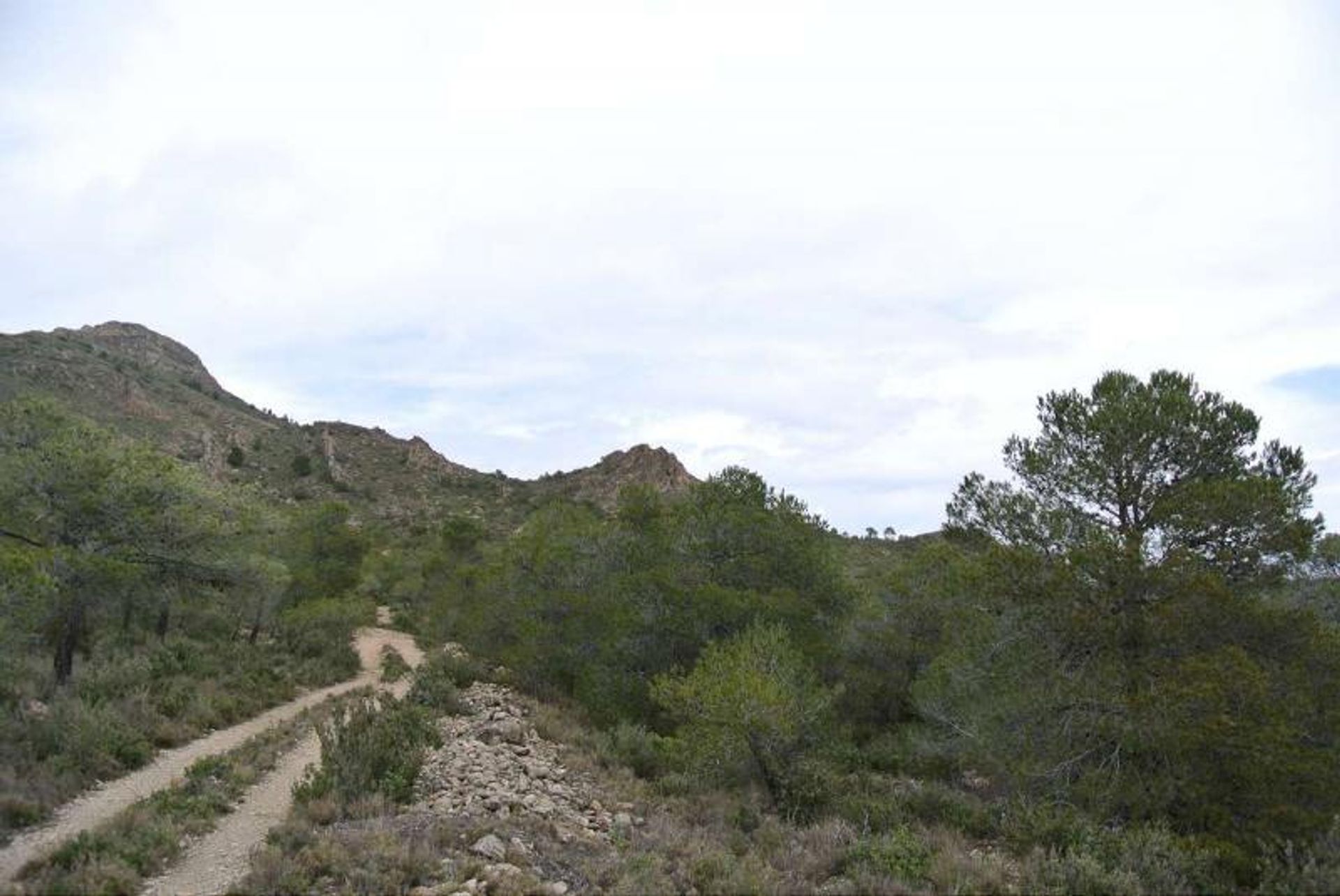 Tierra en Yecla, Región de Murcia 10725566