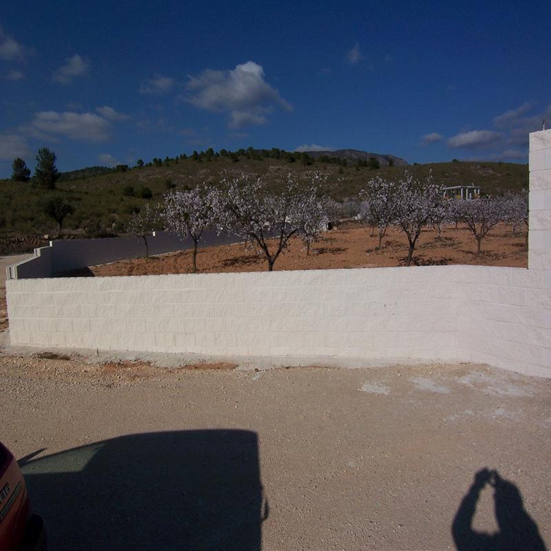 Land in Pinoso, Valencia 10725570