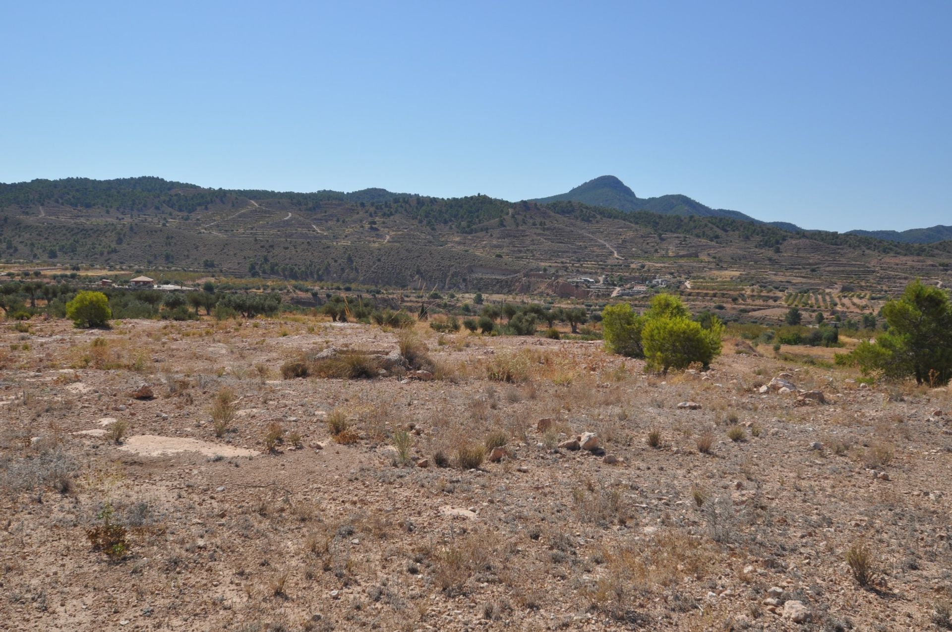 土地 在 Abanilla, Región de Murcia 10725583