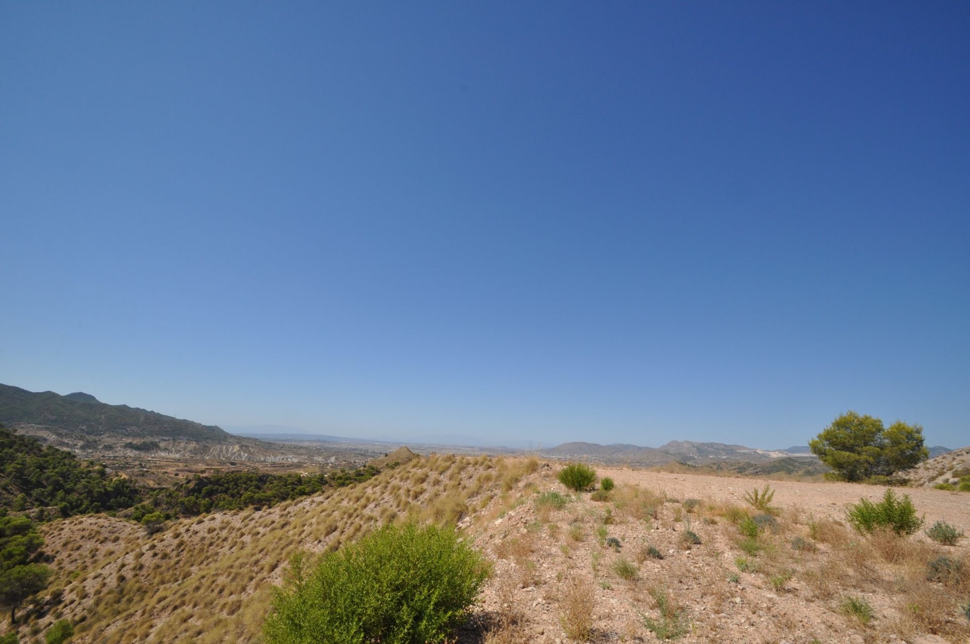 土地 在 Abanilla, Región de Murcia 10725587