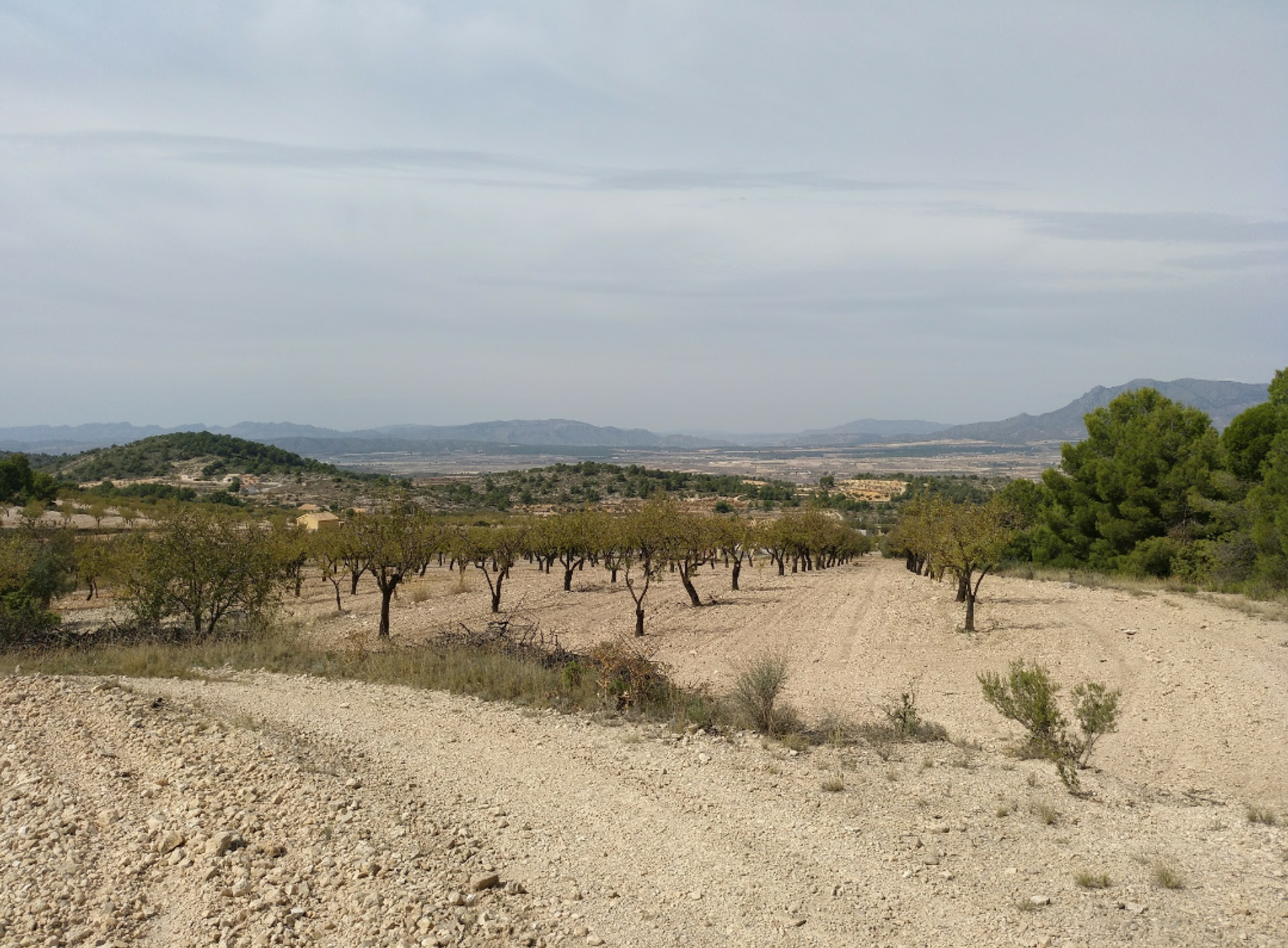 Land in Abanilla, Región de Murcia 10725601