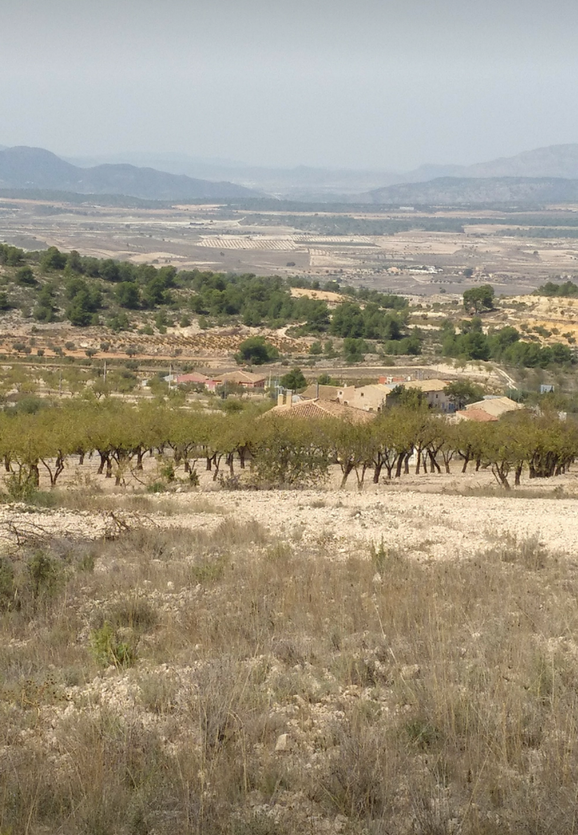 Land in Abanilla, Región de Murcia 10725601