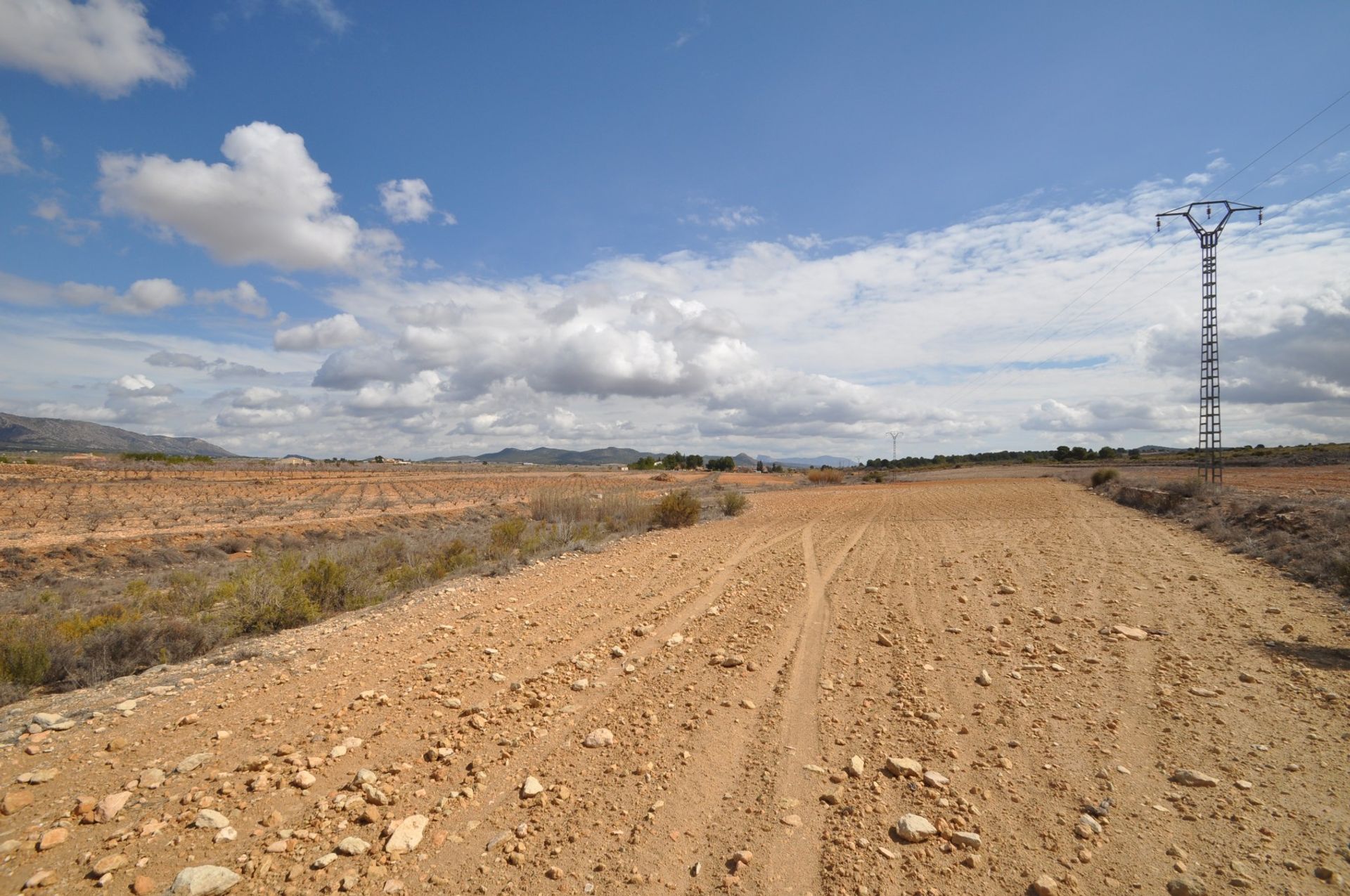 Tierra en Pinoso, Comunidad Valenciana 10725605