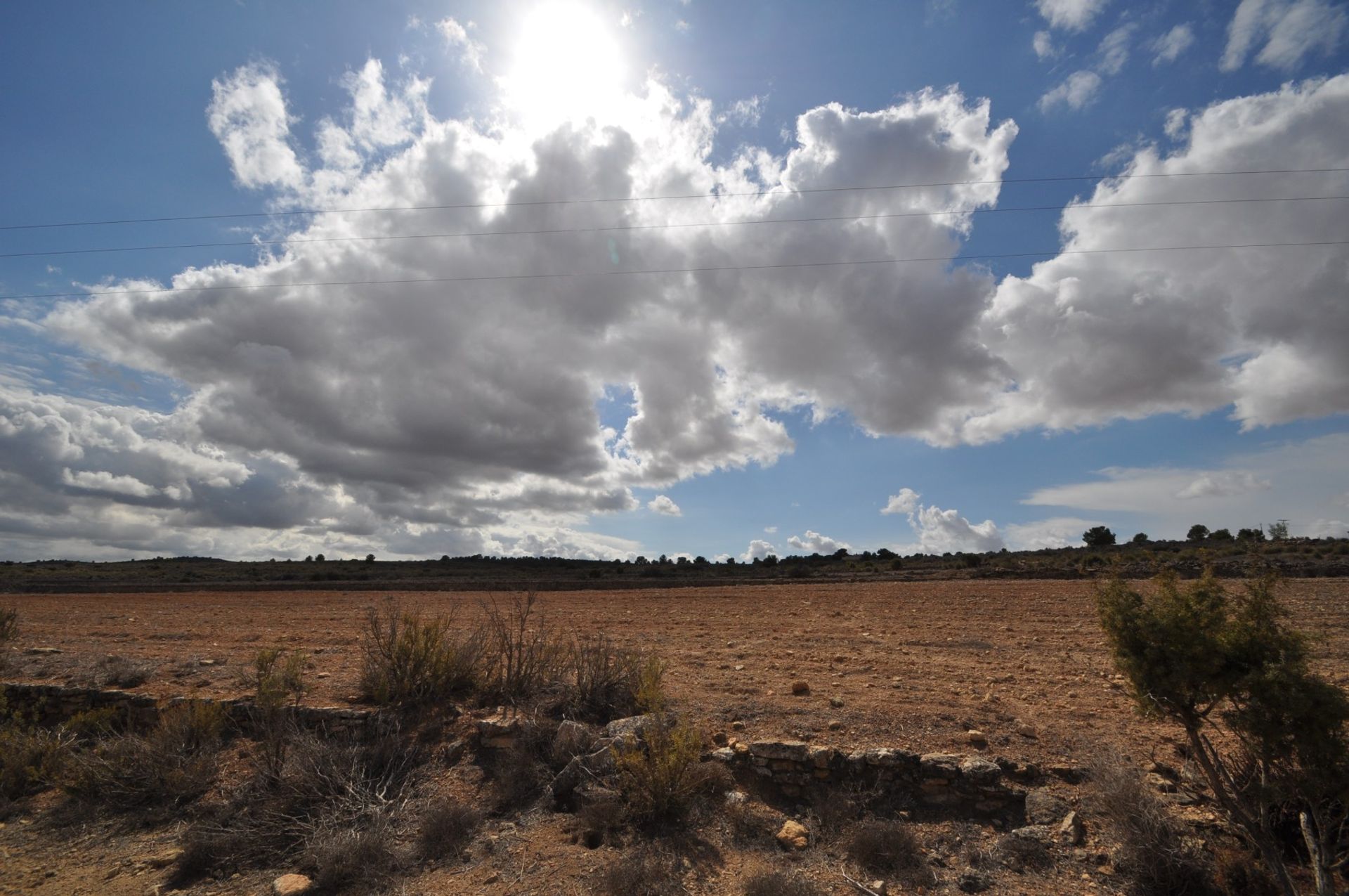 Tierra en Pinoso, Comunidad Valenciana 10725605