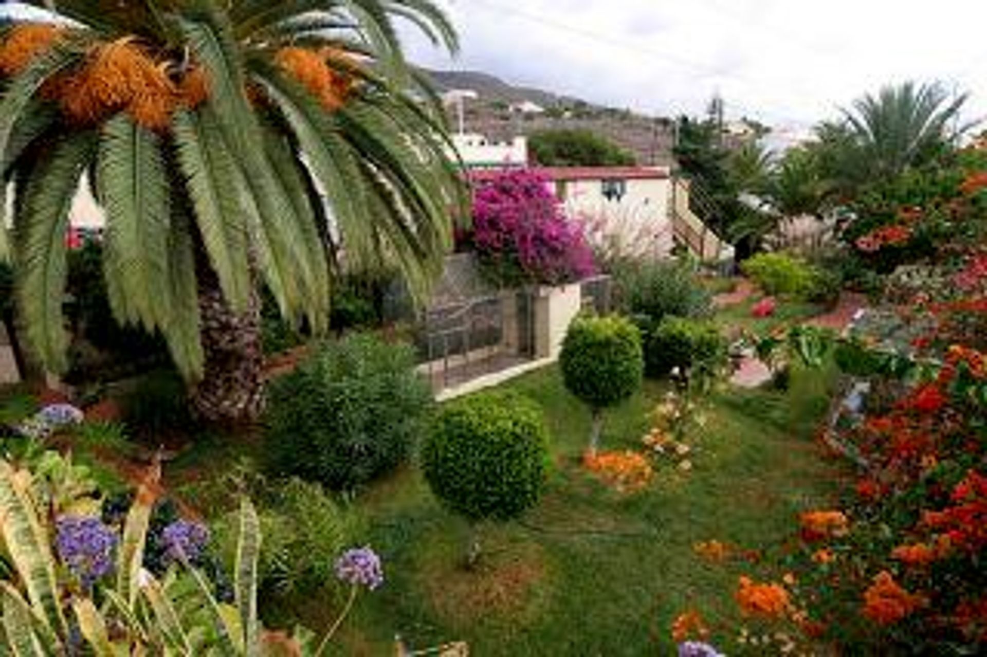 House in Adeje, Canarias 10725779