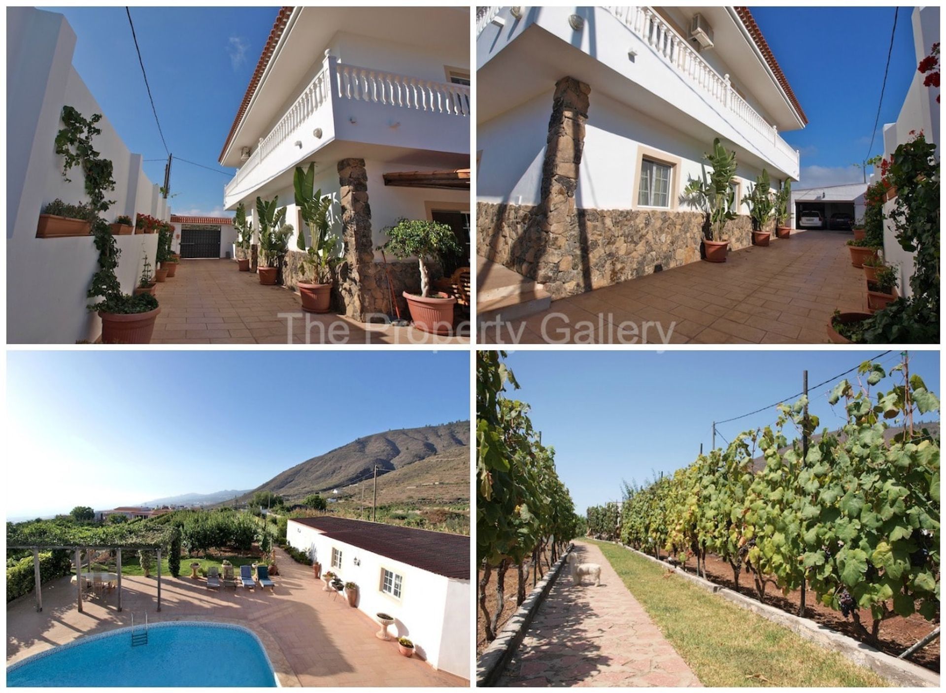 Huis in Guía de Isora, Canarias 10725780