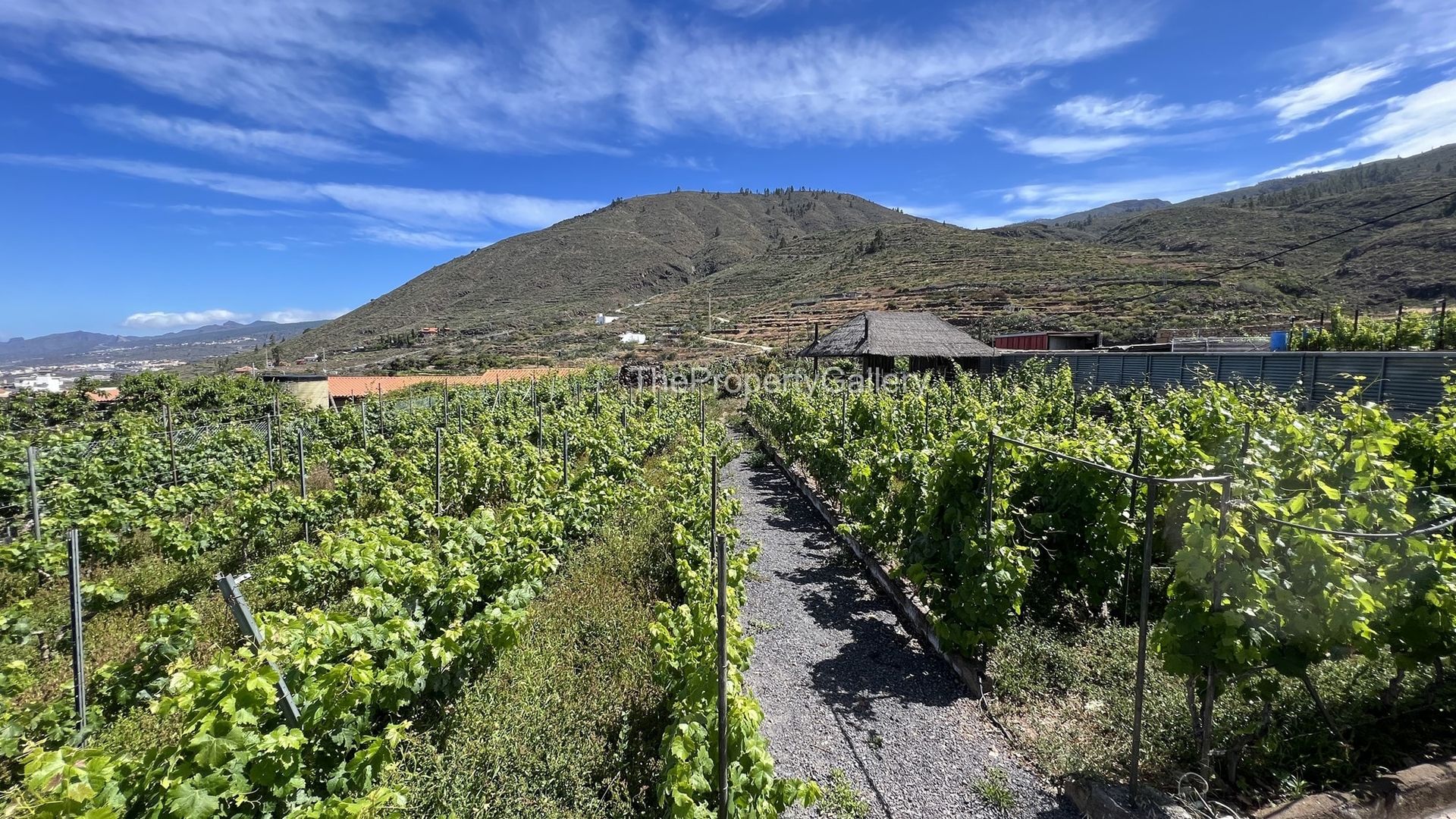 Huis in Guía de Isora, Canarias 10725780