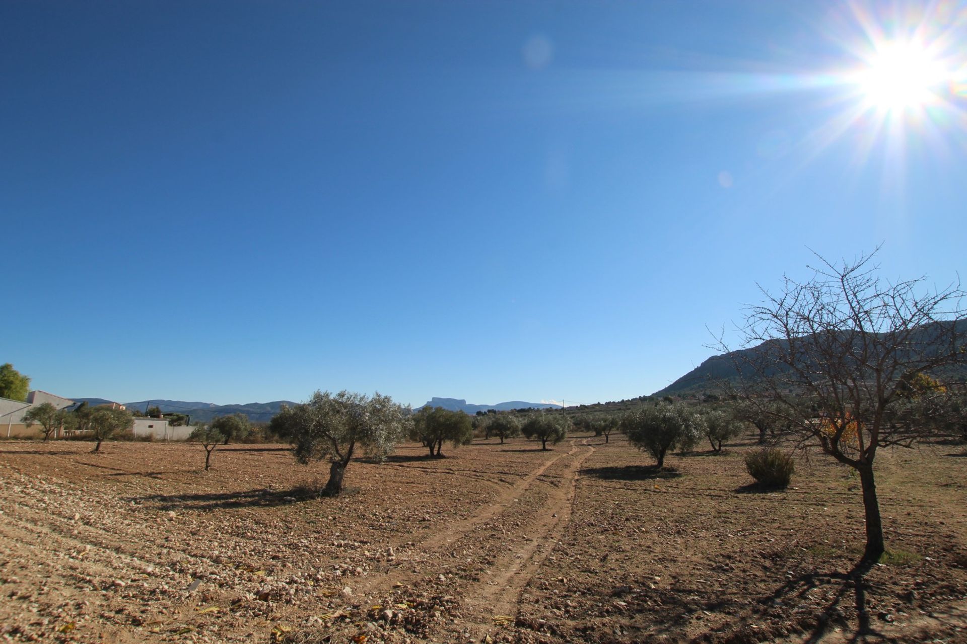 σπίτι σε Saix, Comunidad Valenciana 10725788