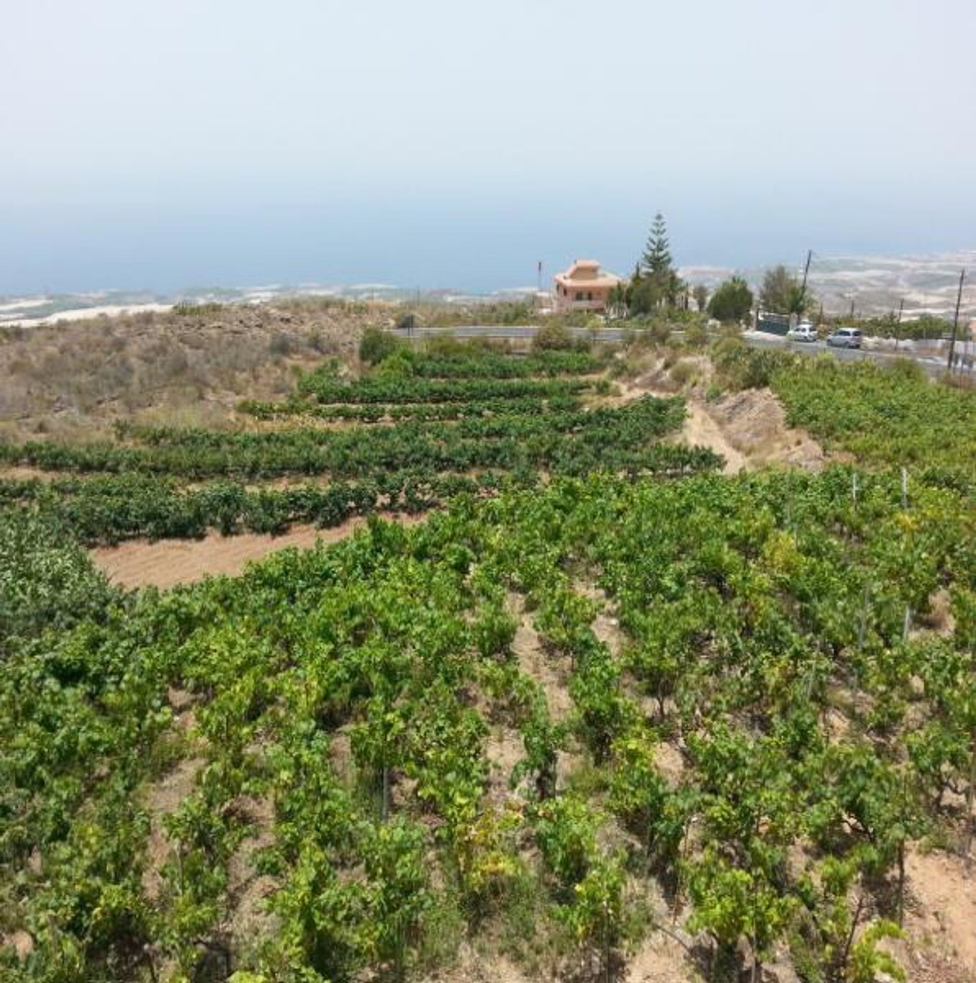 House in Guía de Isora, Canarias 10725860