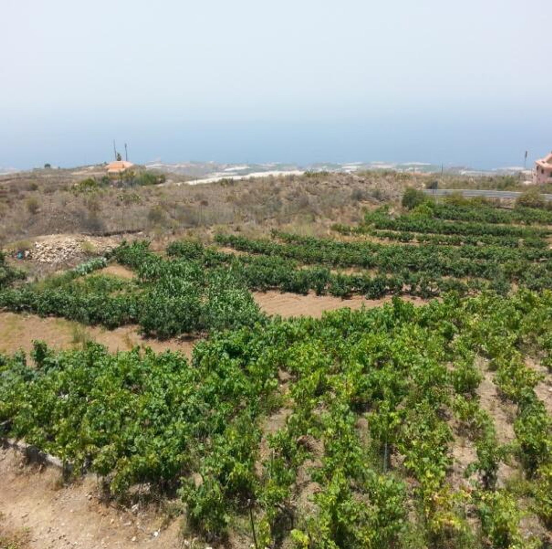 House in Guía de Isora, Canarias 10725860