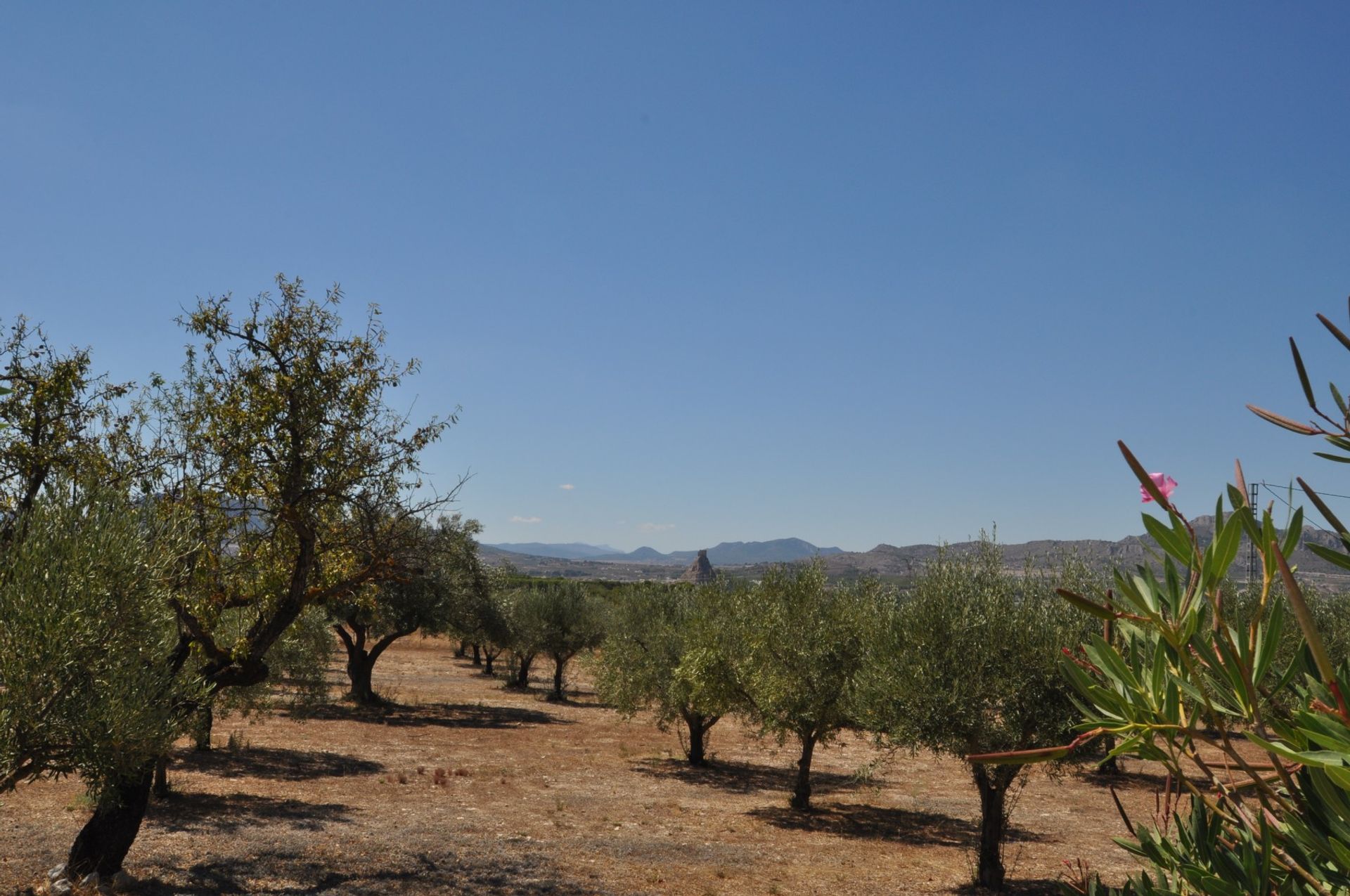 بيت في Saix, Comunidad Valenciana 10725894