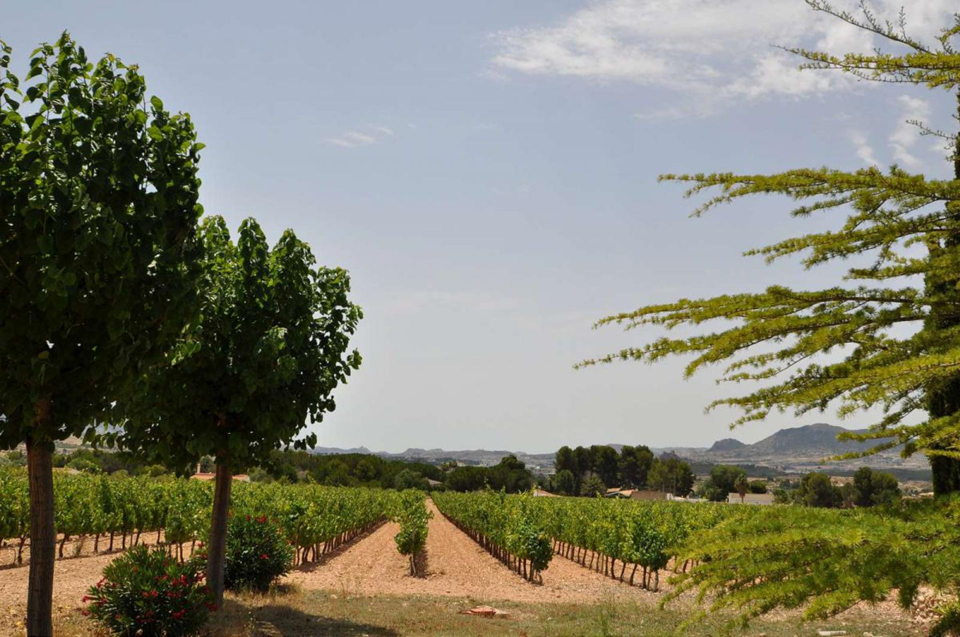 Talo sisään Saix, Comunidad Valenciana 10725896