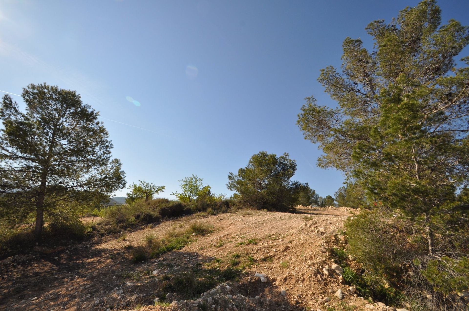 Land i La Zarza, Región de Murcia 10725903