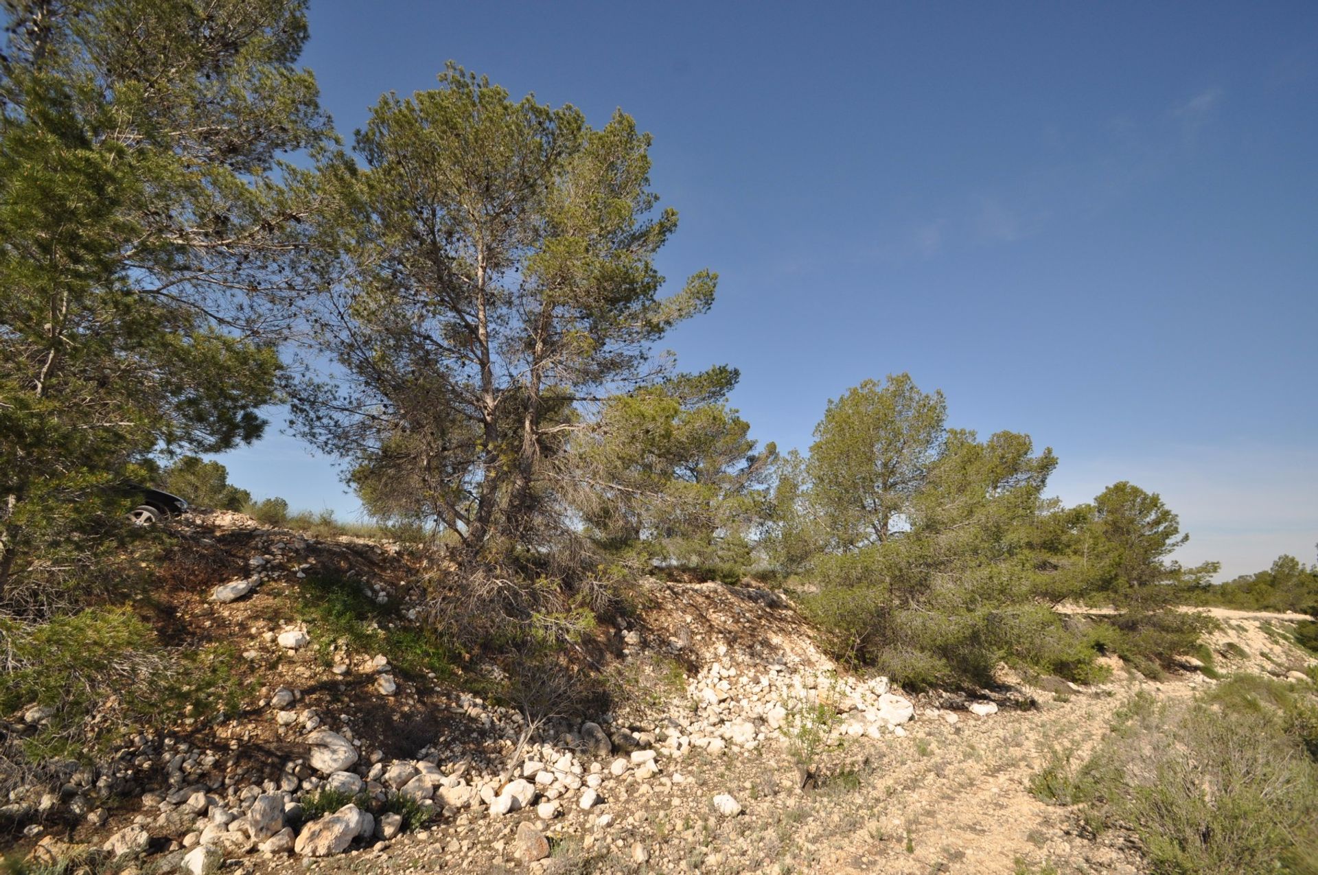 Tanah dalam La Zarza, Región de Murcia 10725903