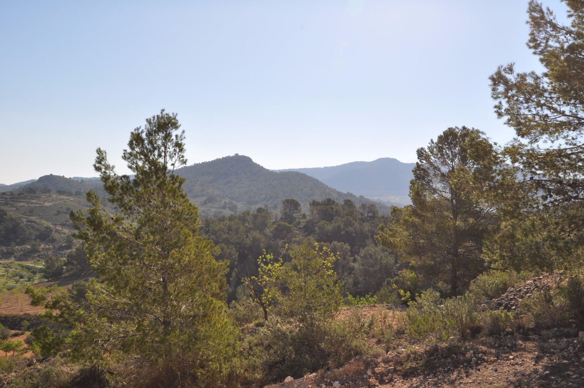 Terre dans La Zarza, Región de Murcia 10725903