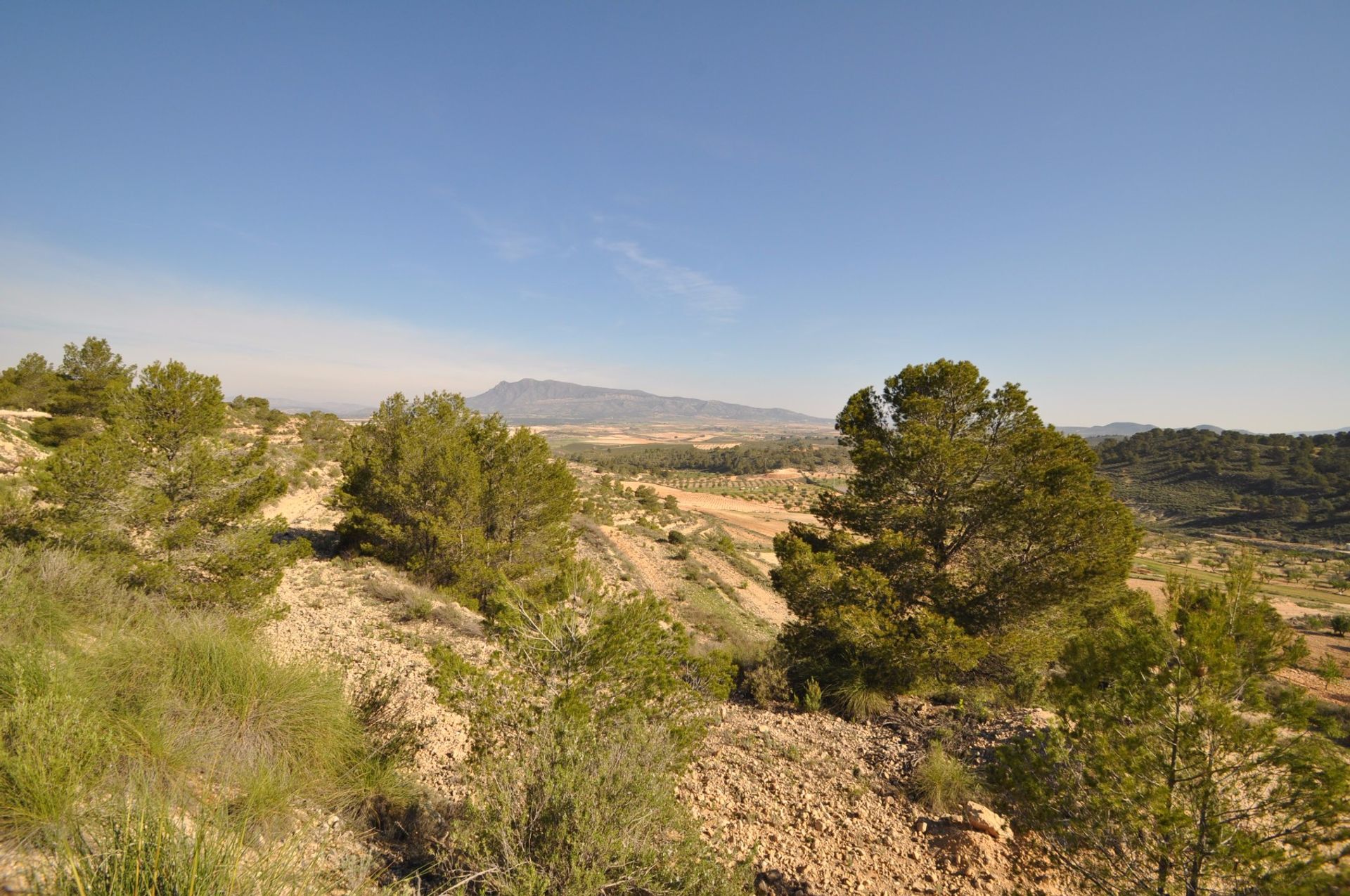 Terre dans La Zarza, Región de Murcia 10725903