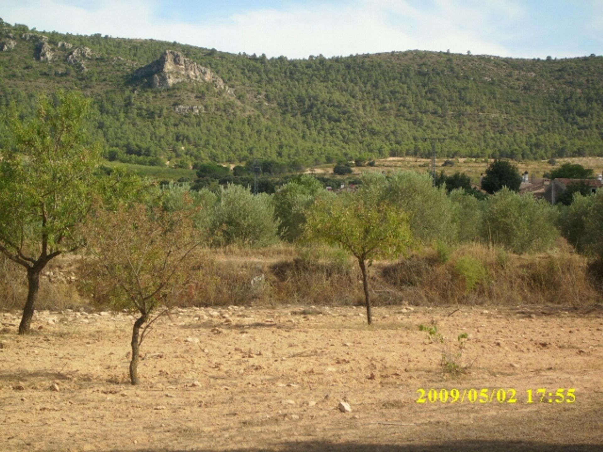 Land in Villena, Valencia 10725906