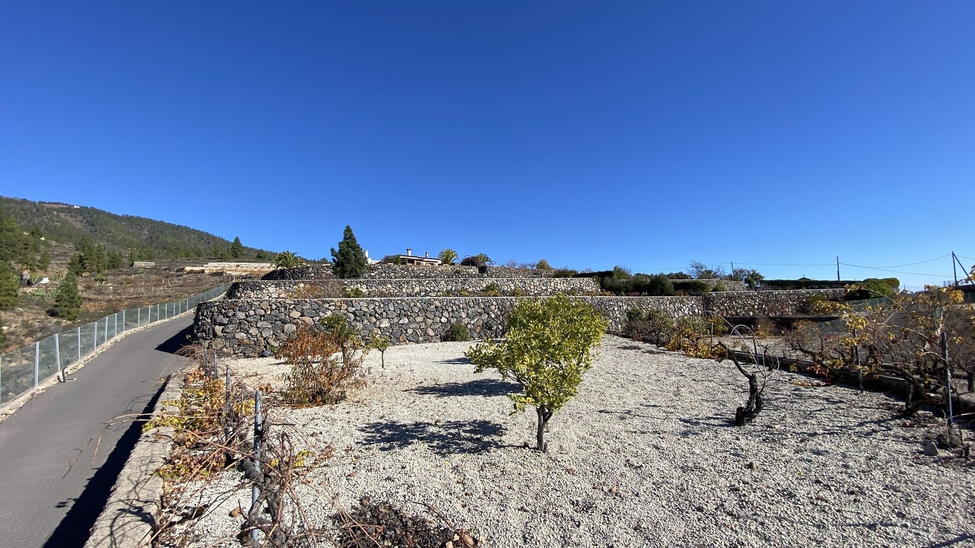 House in Granadilla, Canarias 10725926