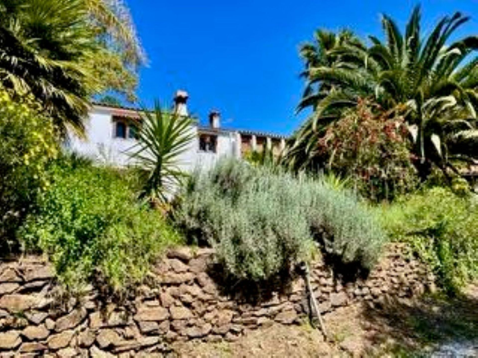 casa no Genalguacil, Andalucía 10725993