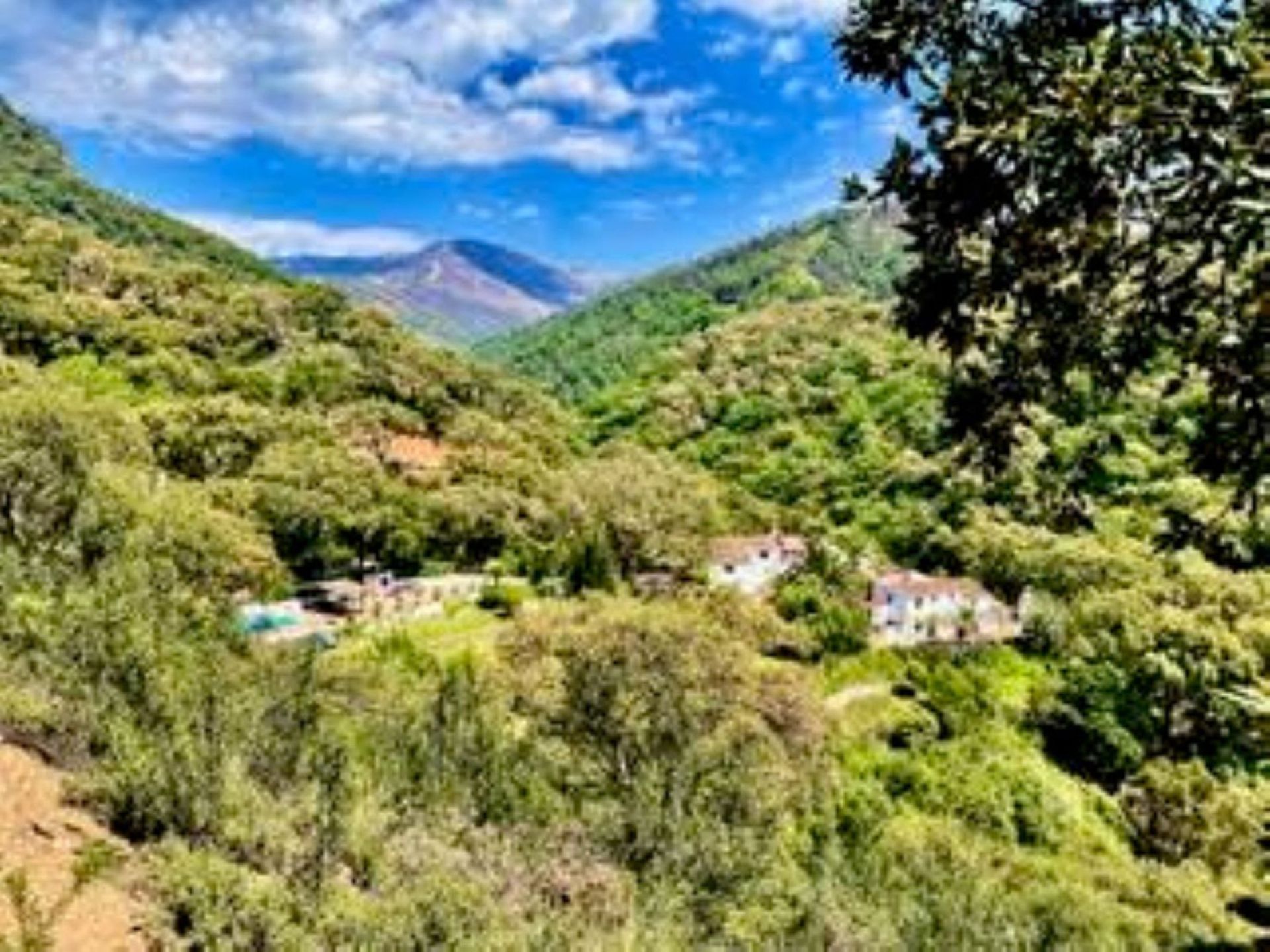 casa no Genalguacil, Andalucía 10725993